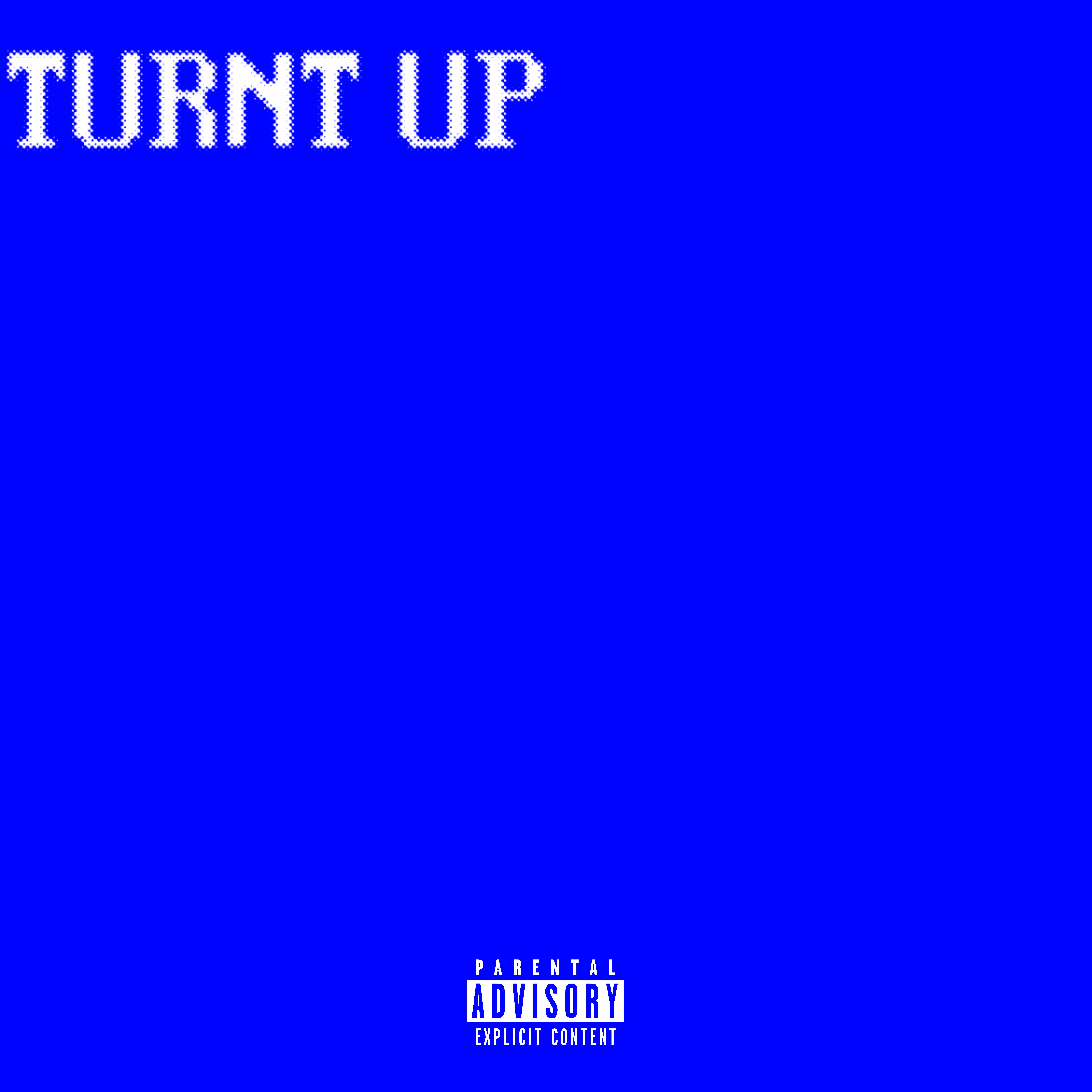 Turnt Up artwork