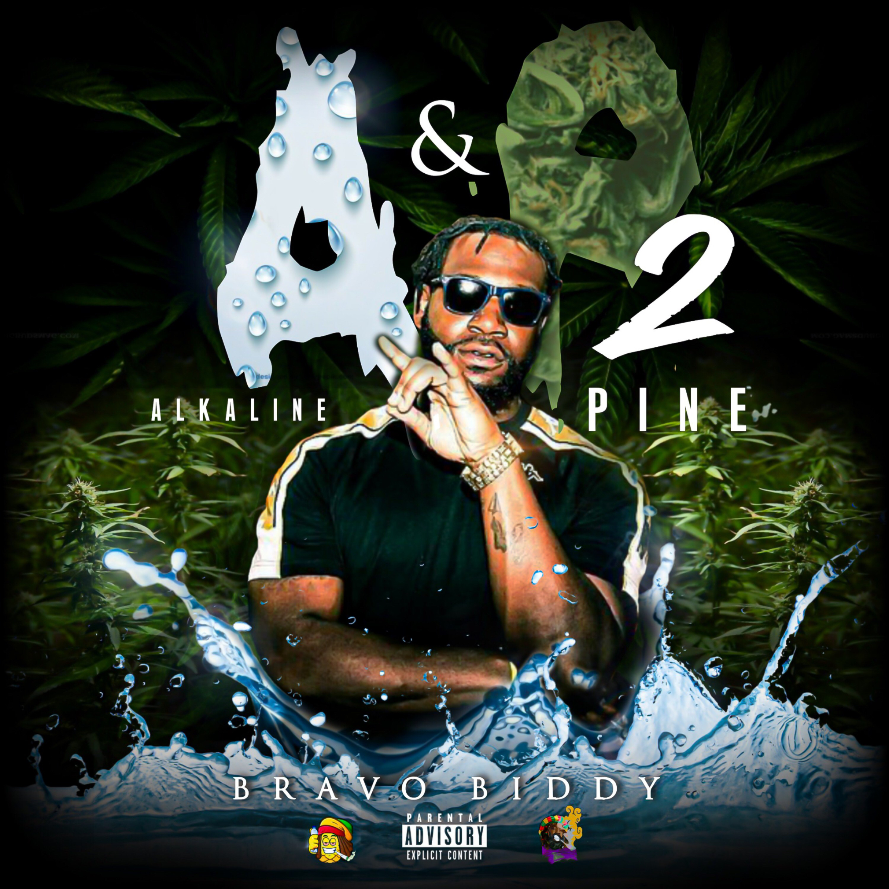 A&P II ( Alkaline & Pine II) artwork