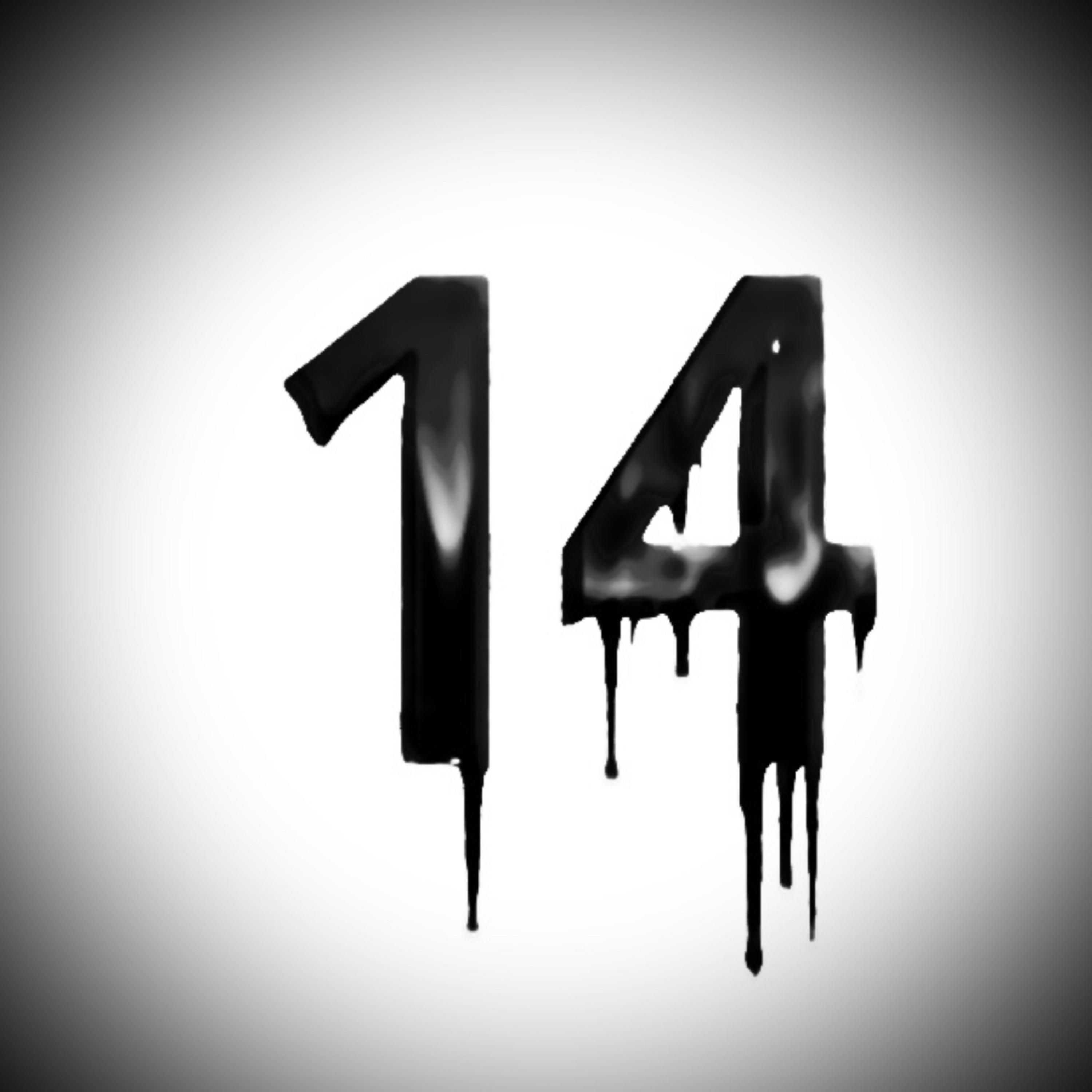 14 Flows artwork