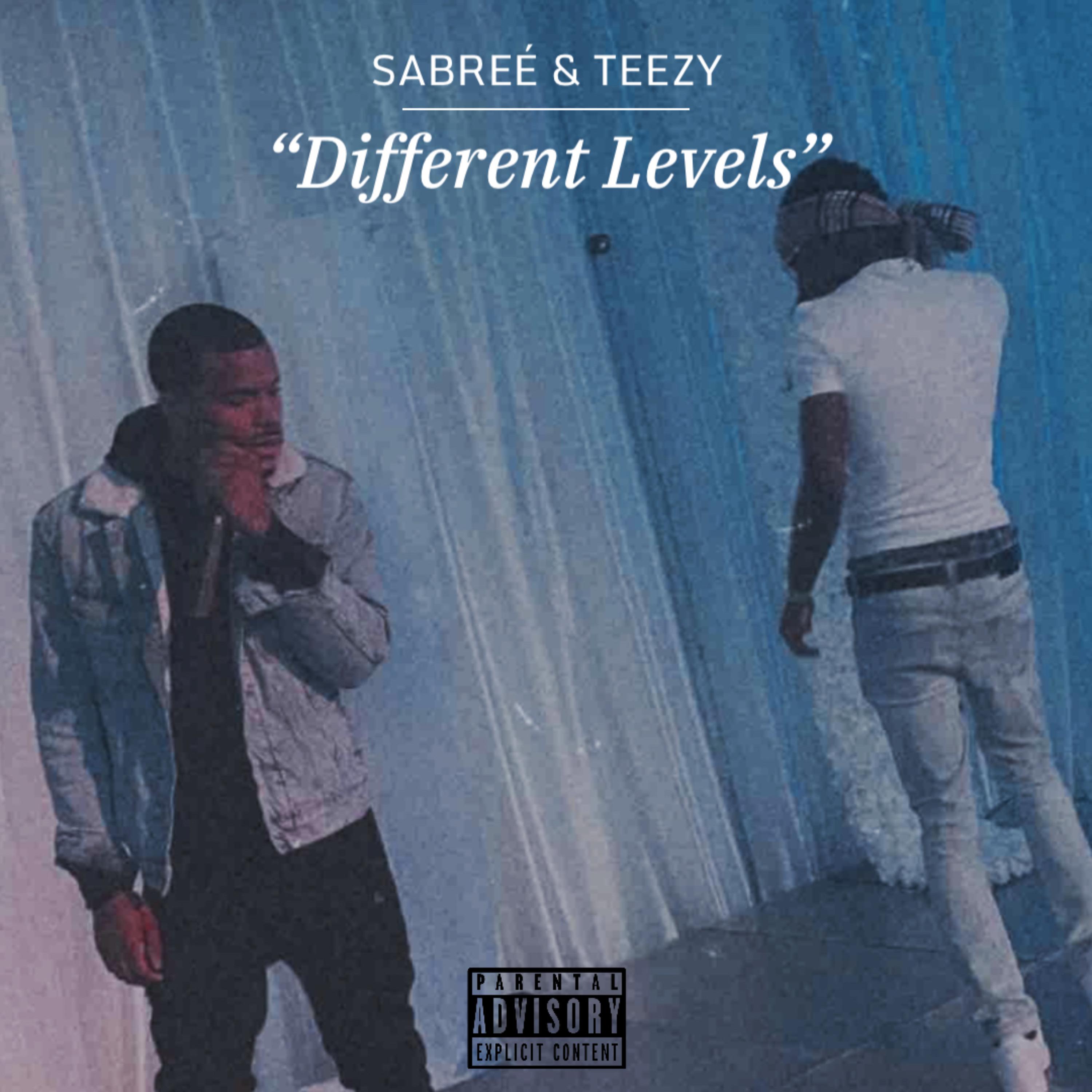 Different Levels by Sabree cover art