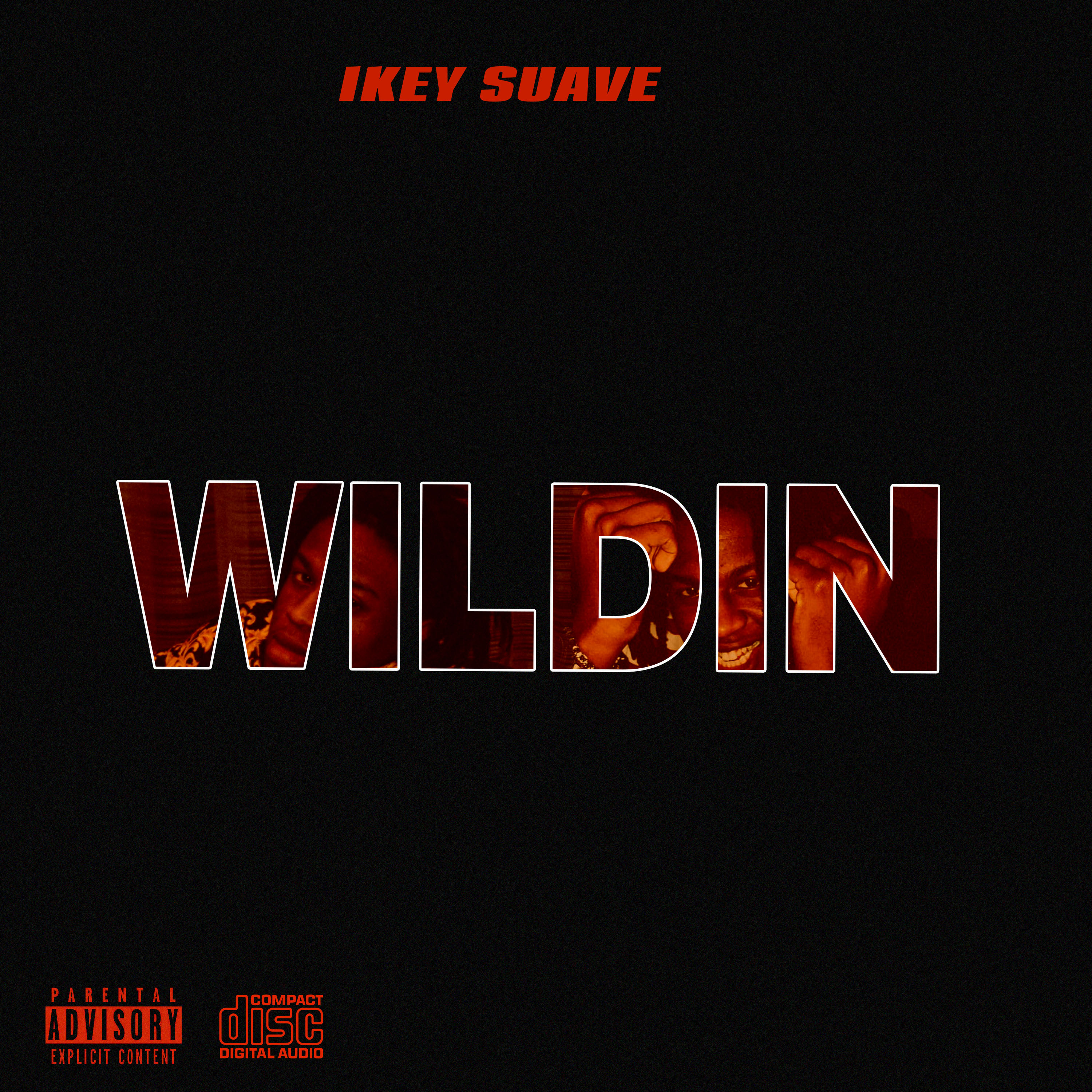 Wildin artwork