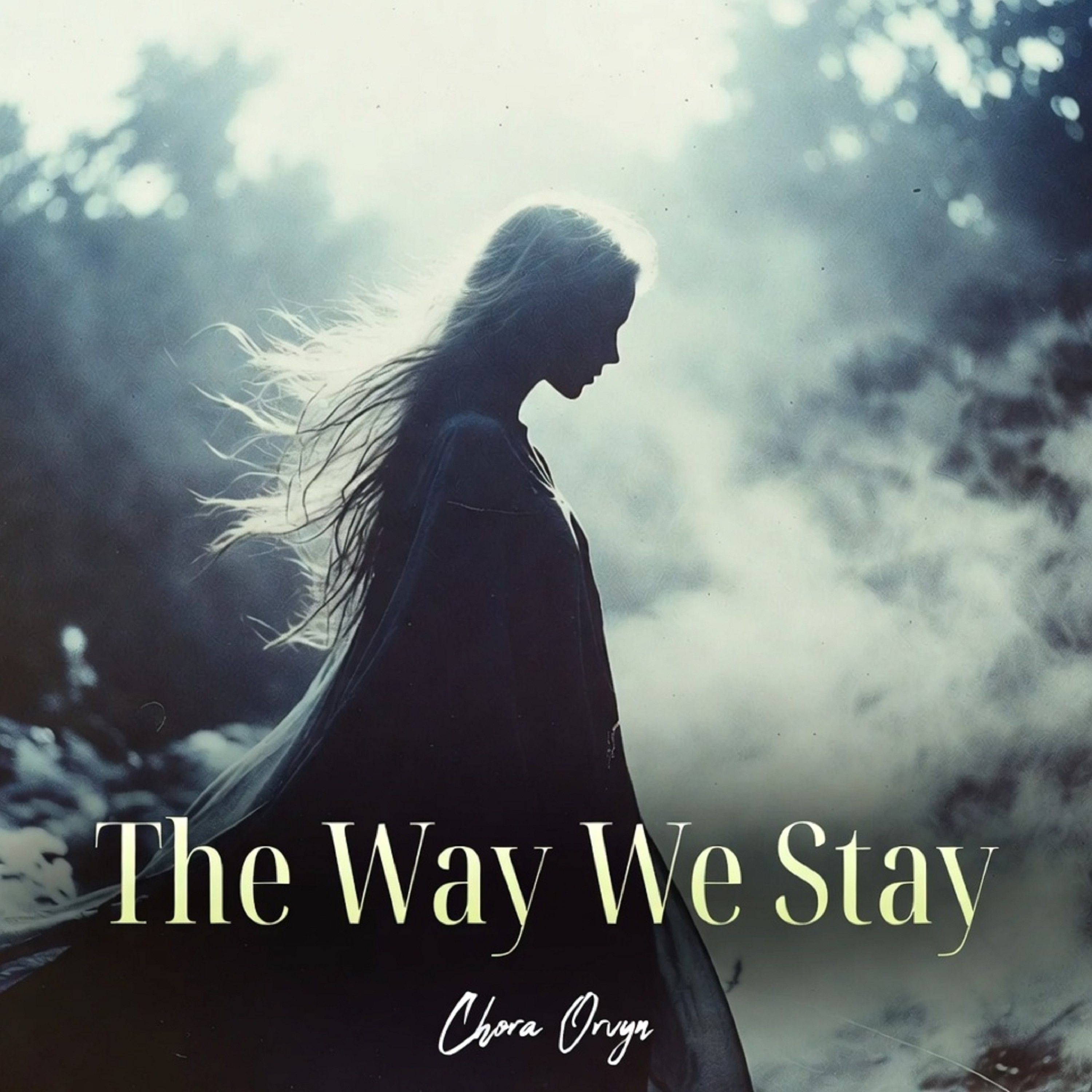 The Way We Stay artwork