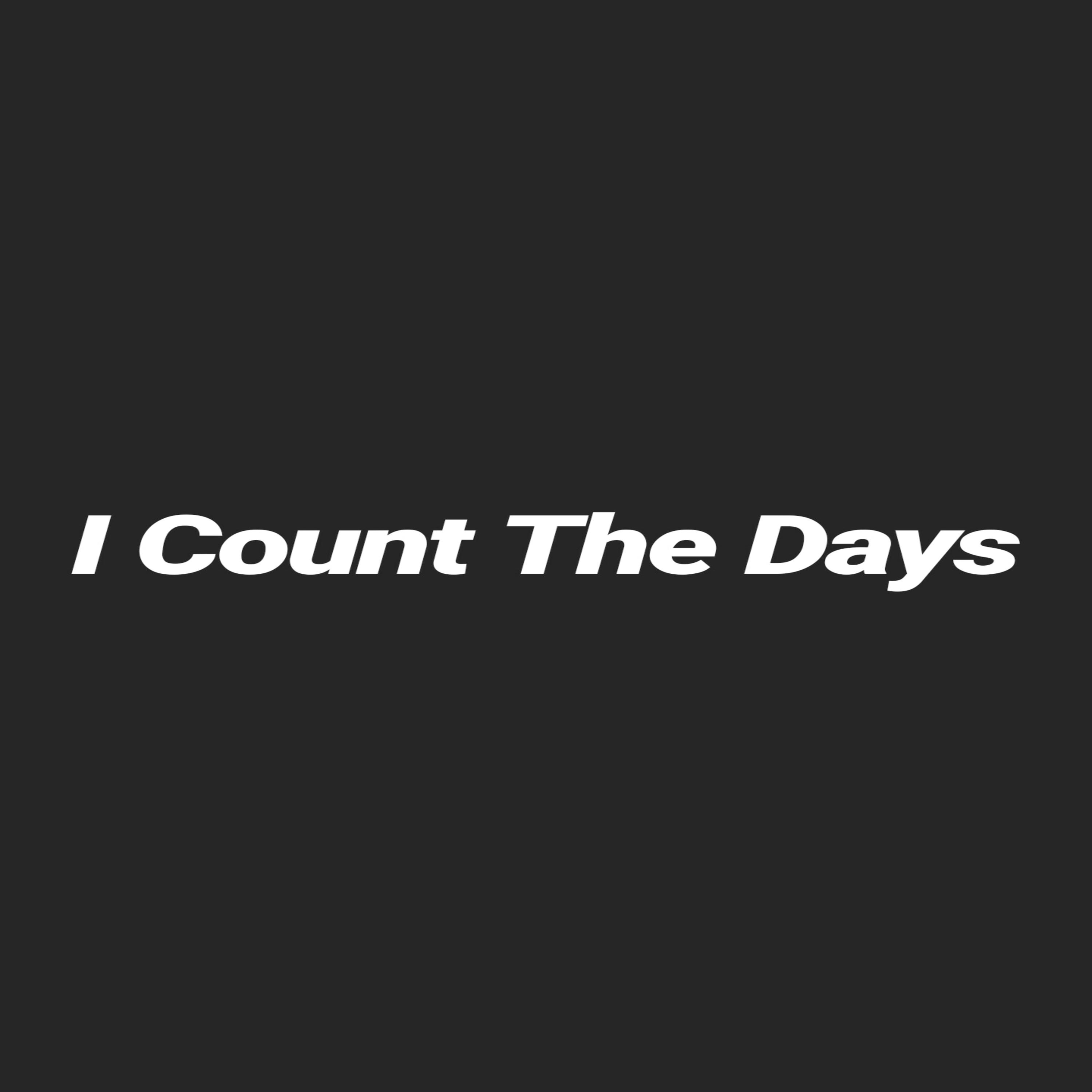 I Count The Days artwork