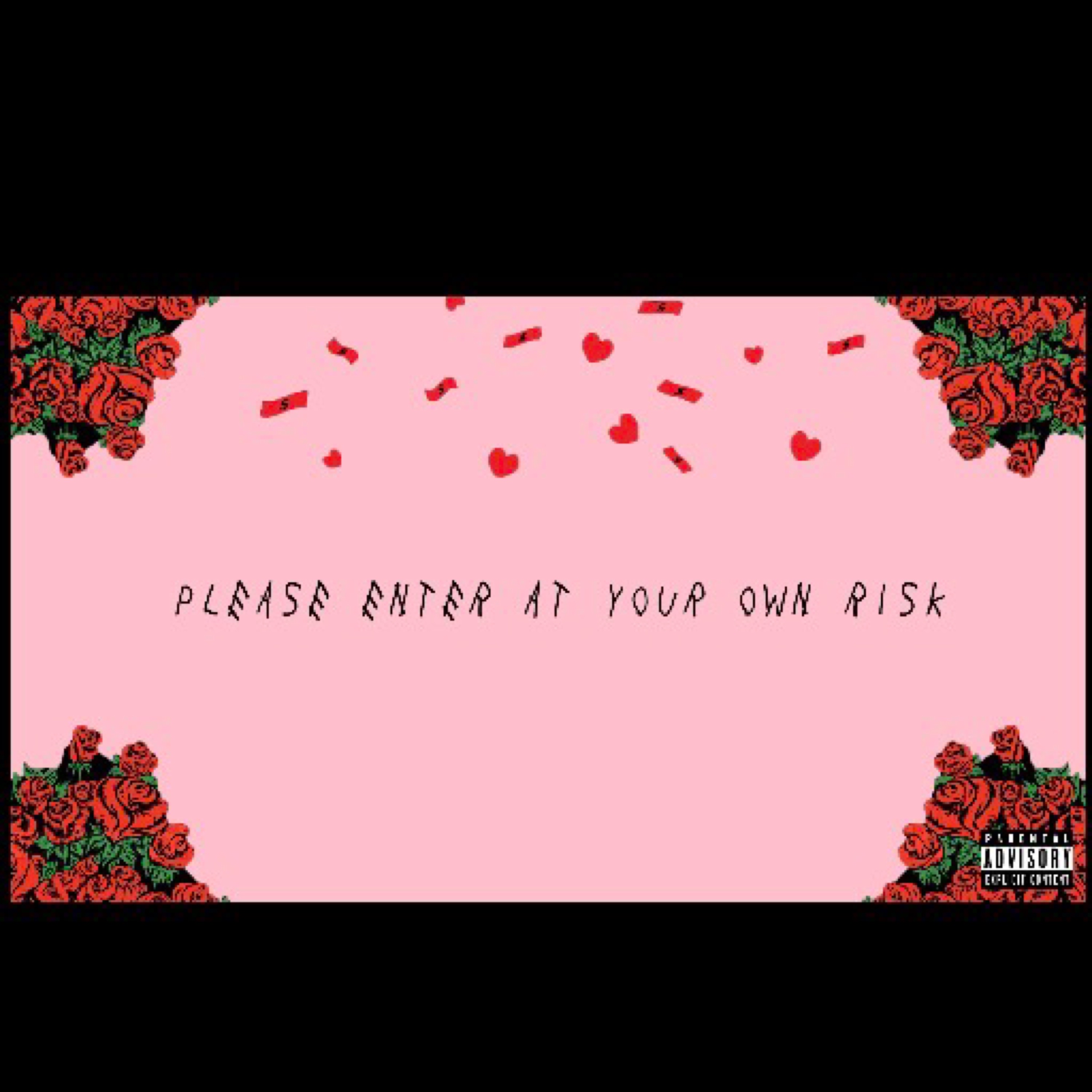 Please Enter At Your Own Risk artwork