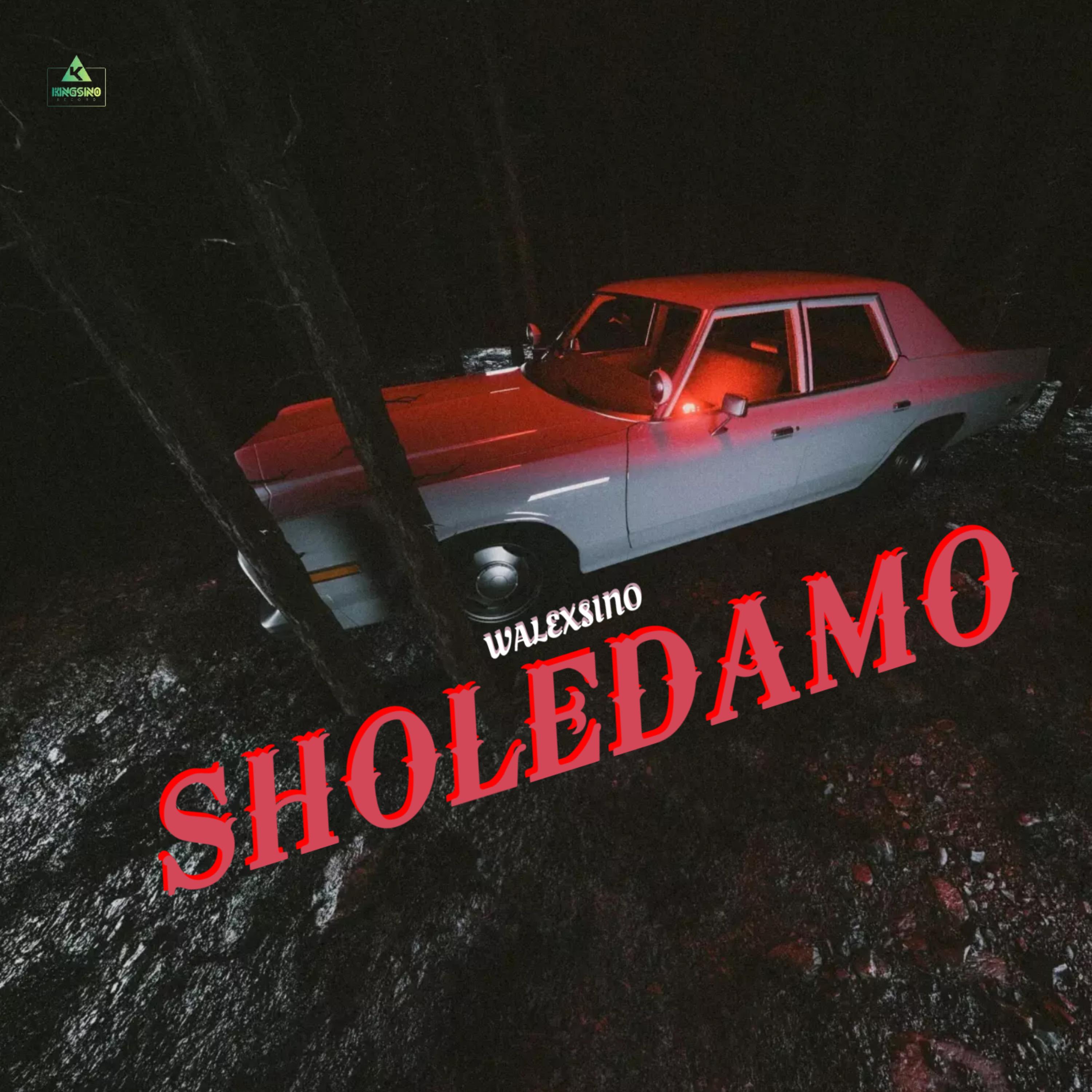 SHOLEDAMO artwork