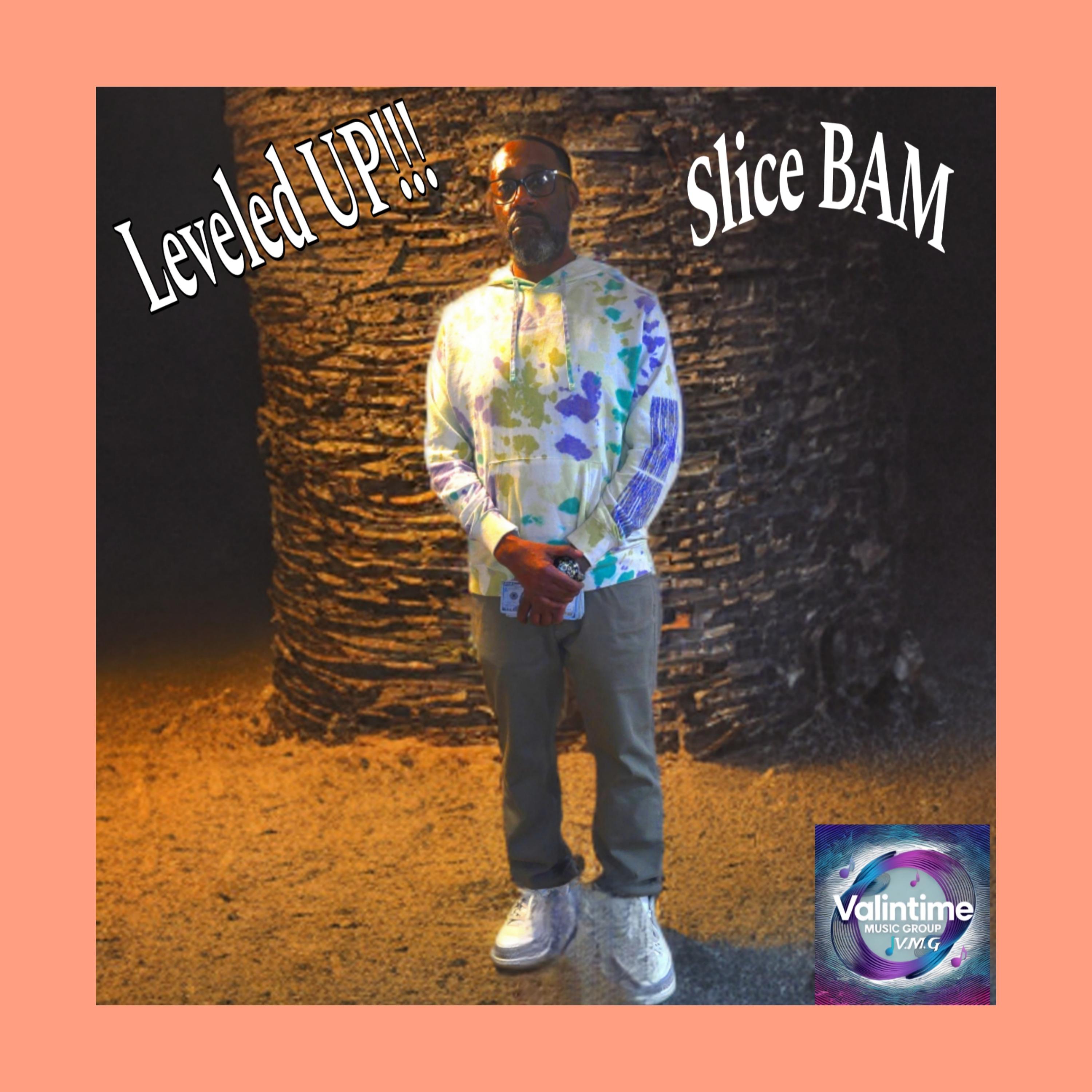 Leveled UP!!! artwork