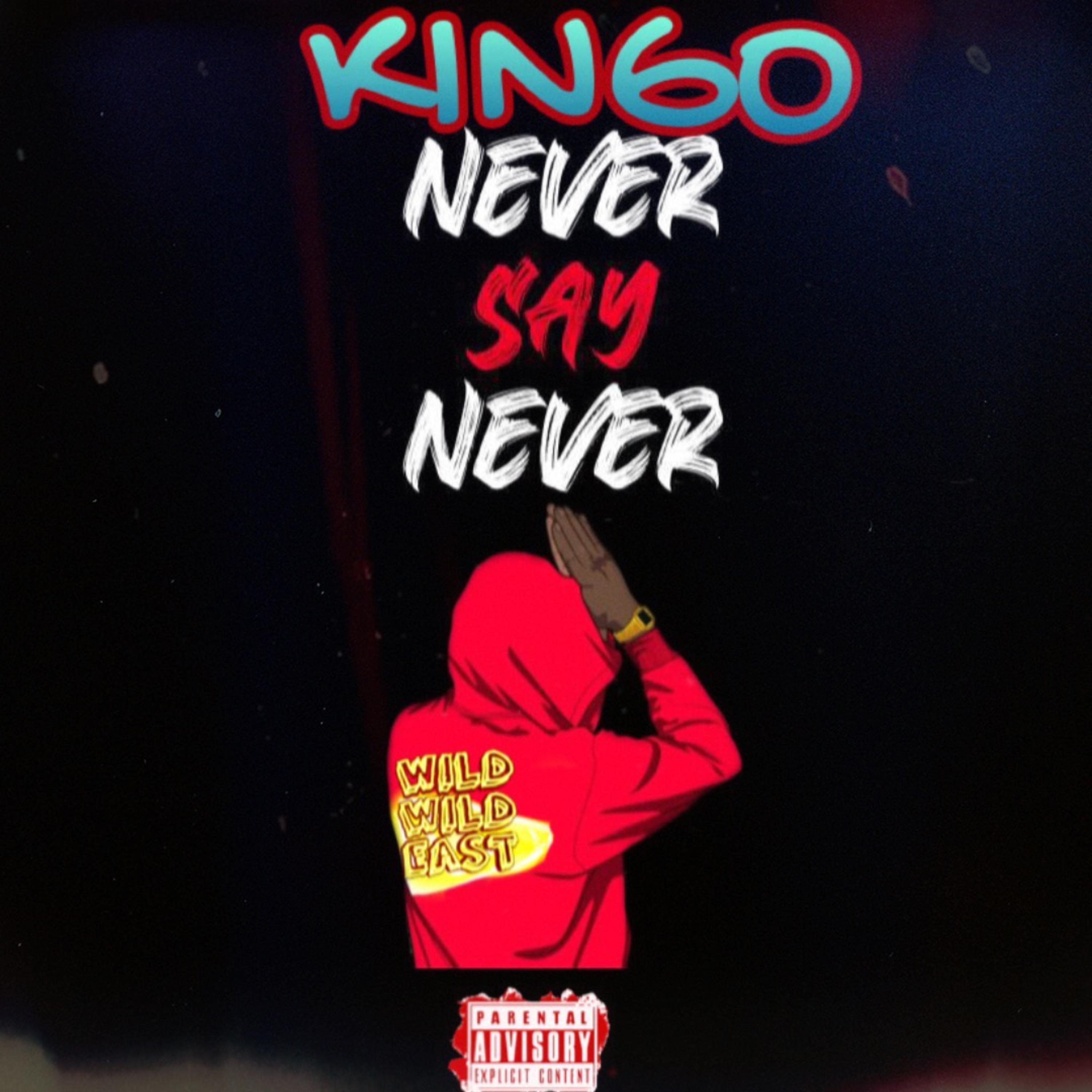 Never say never by Wildeast cover art