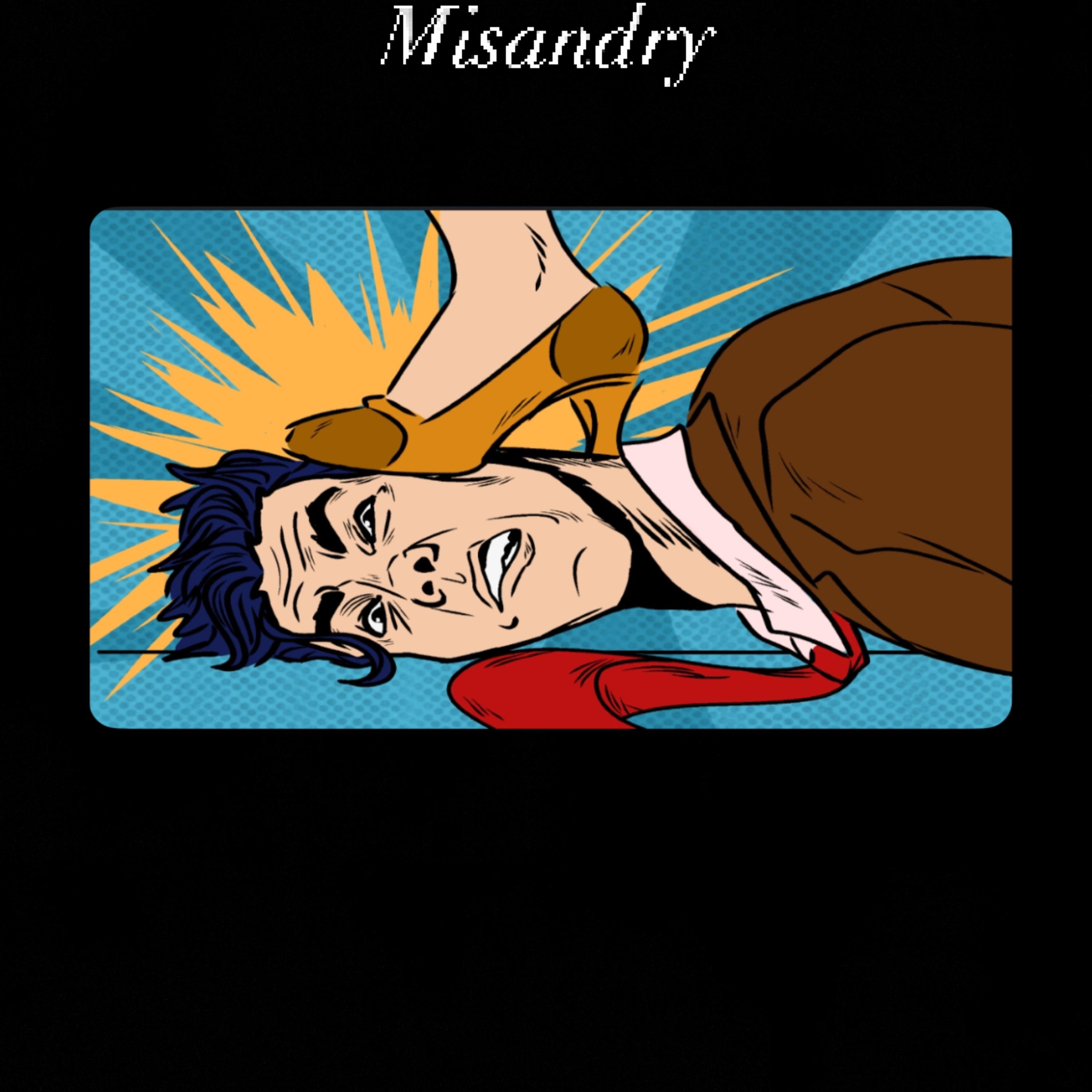 MISANDRY artwork