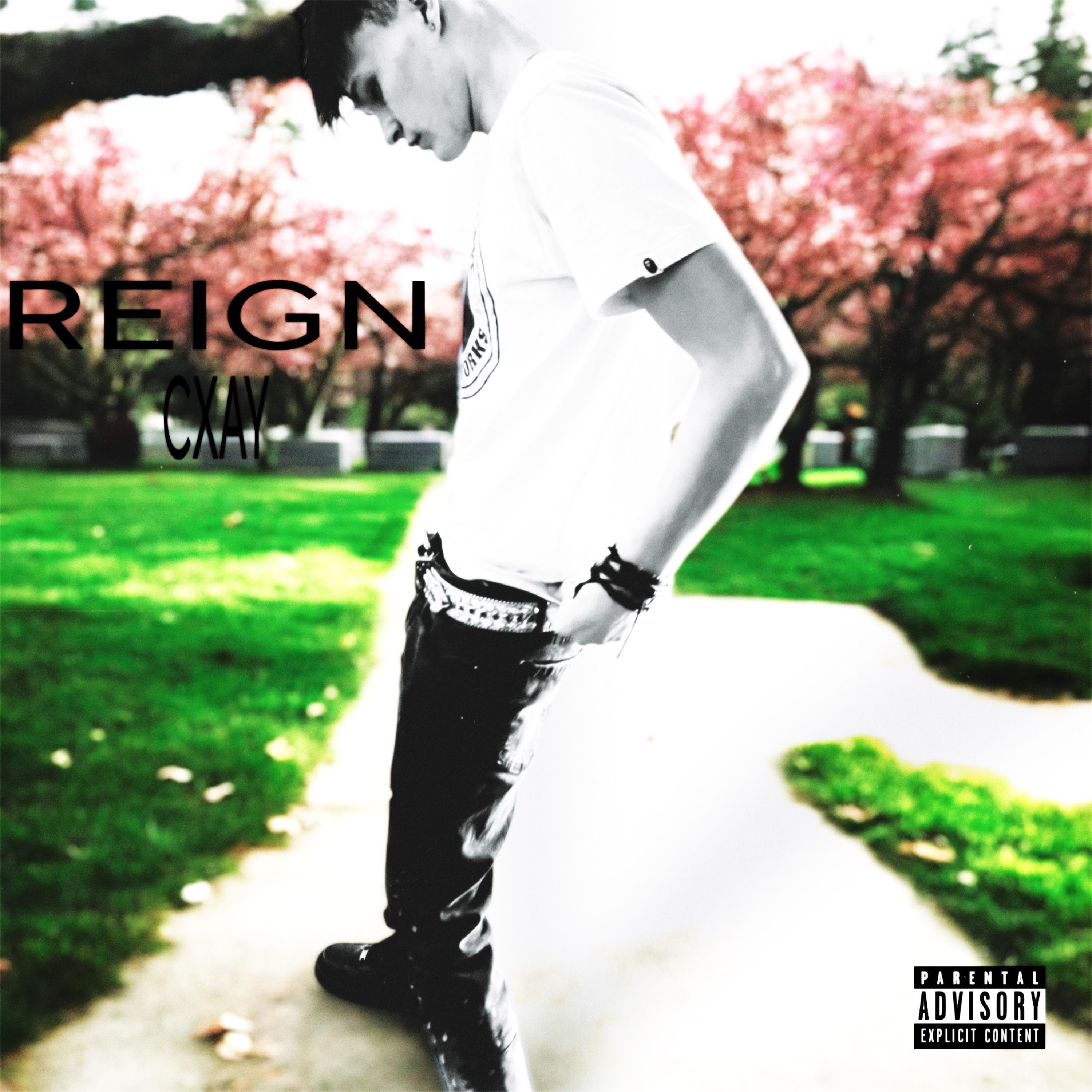 REIGN artwork