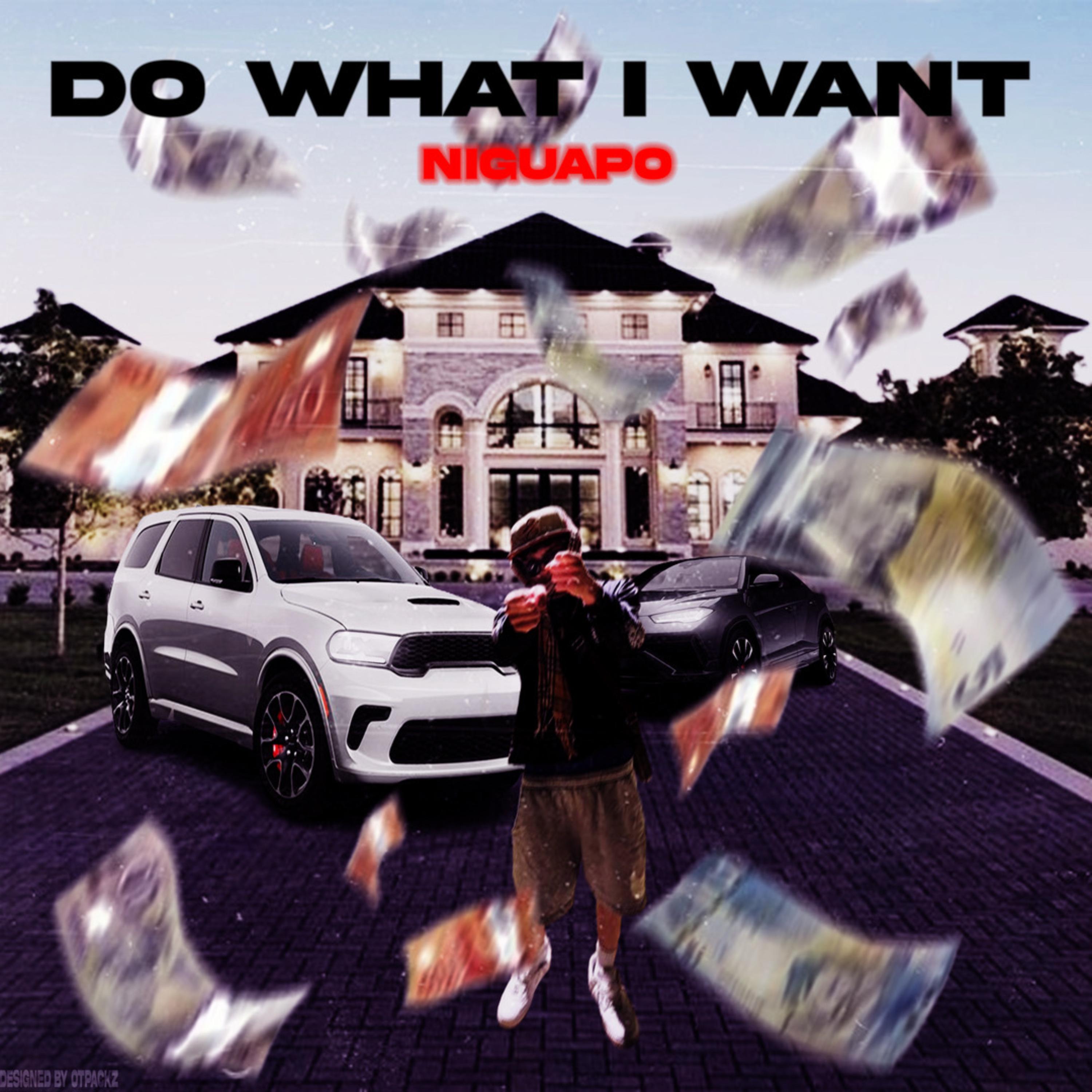 Do What I Want artwork