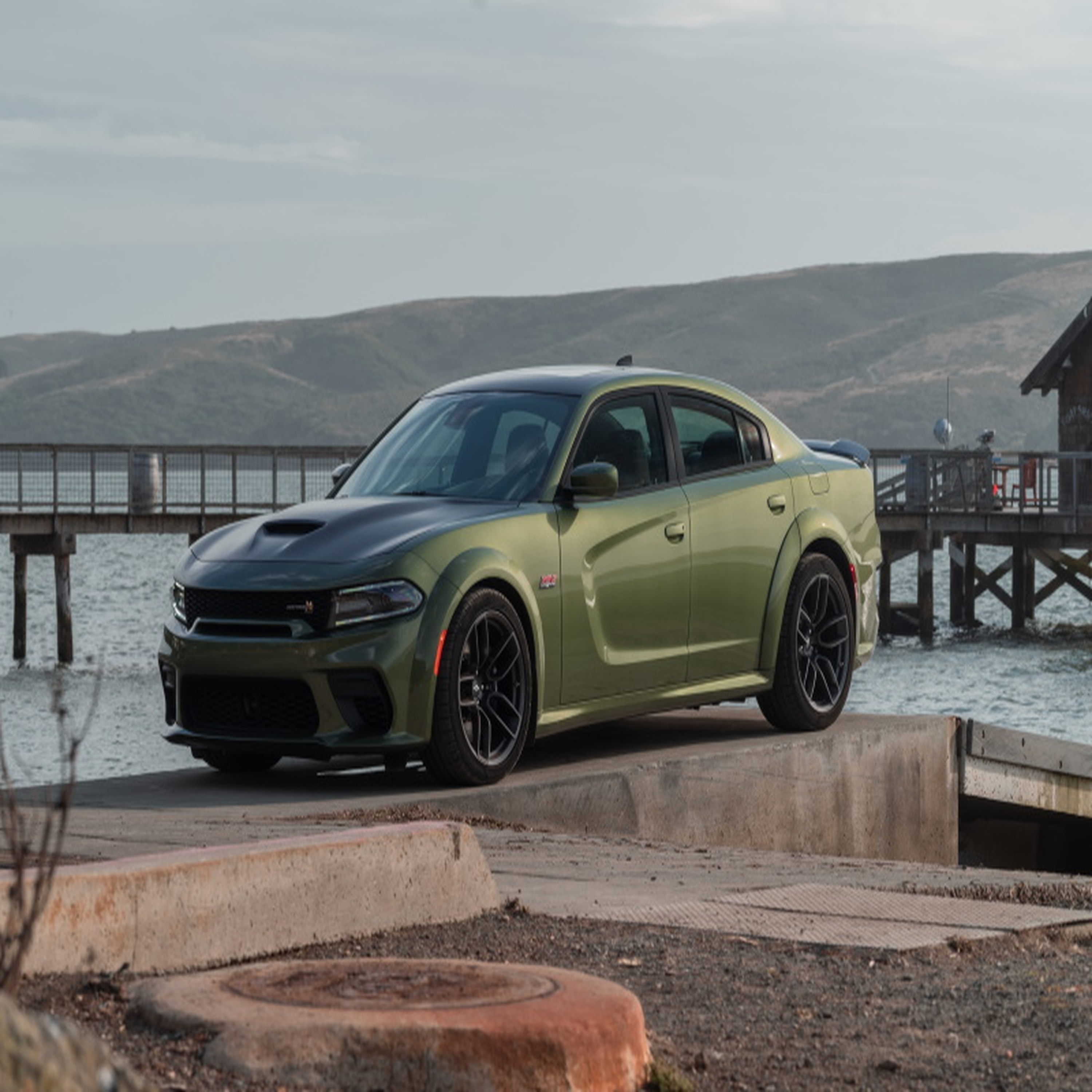 2020 scat artwork