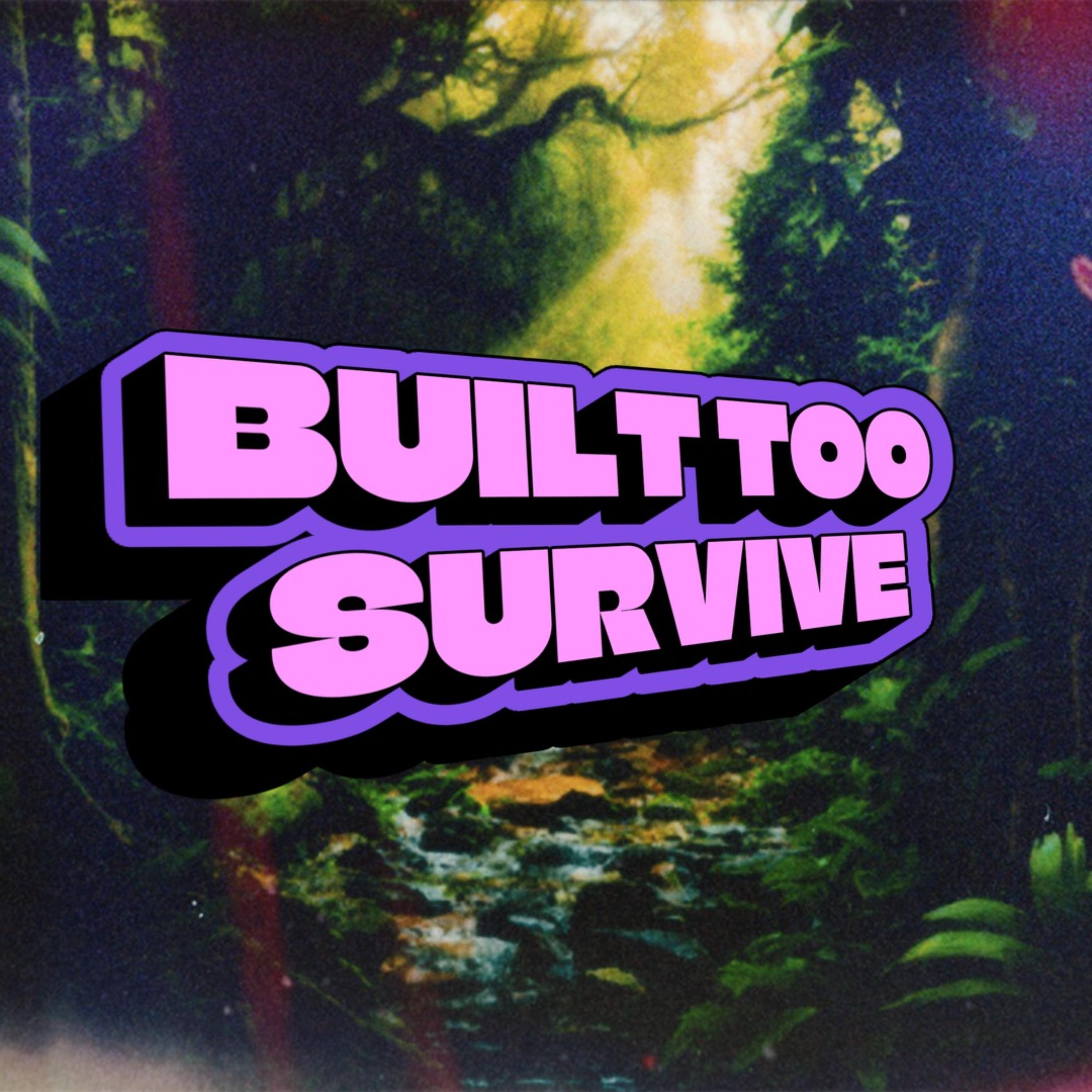Built Too Survive artwork