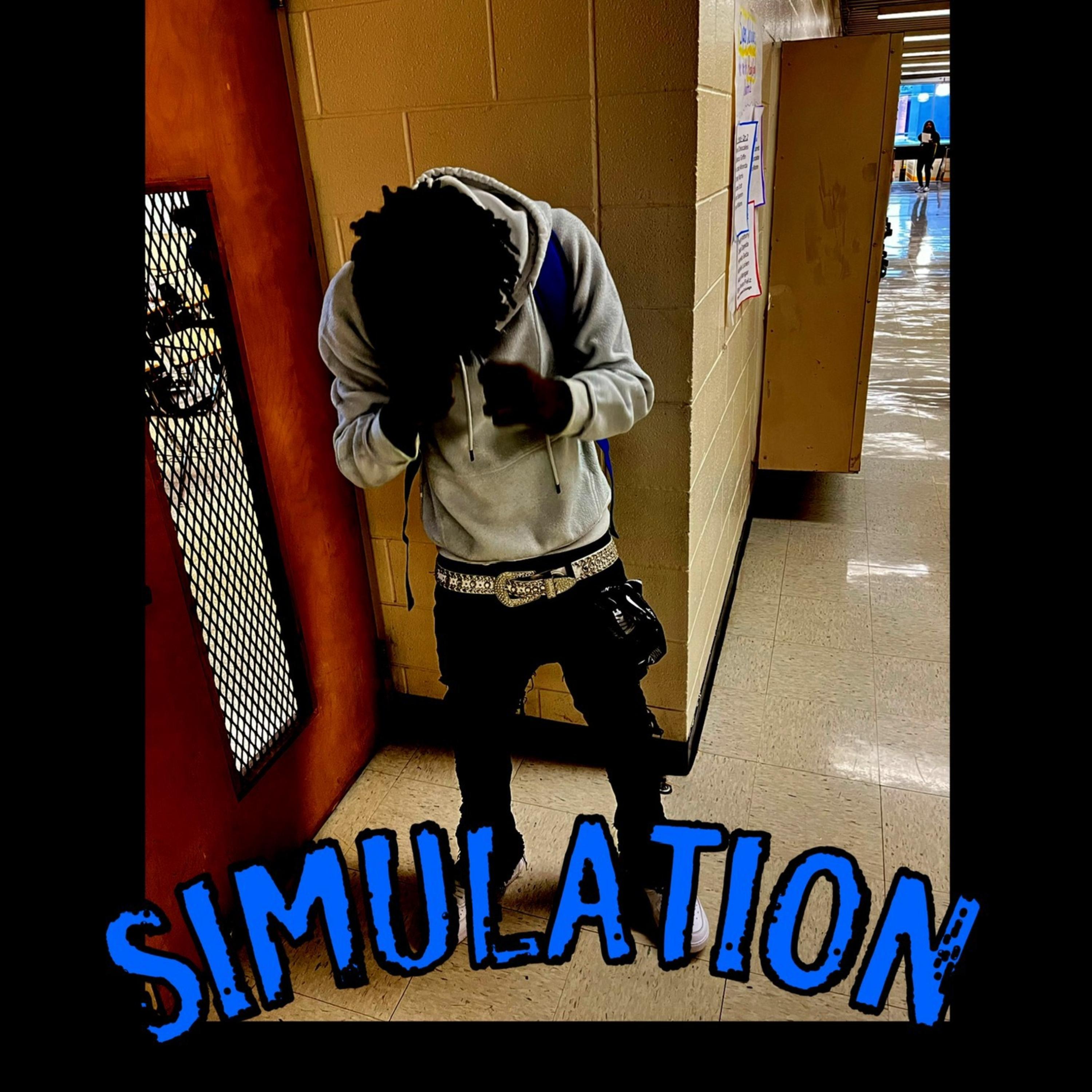 SIMULATION artwork
