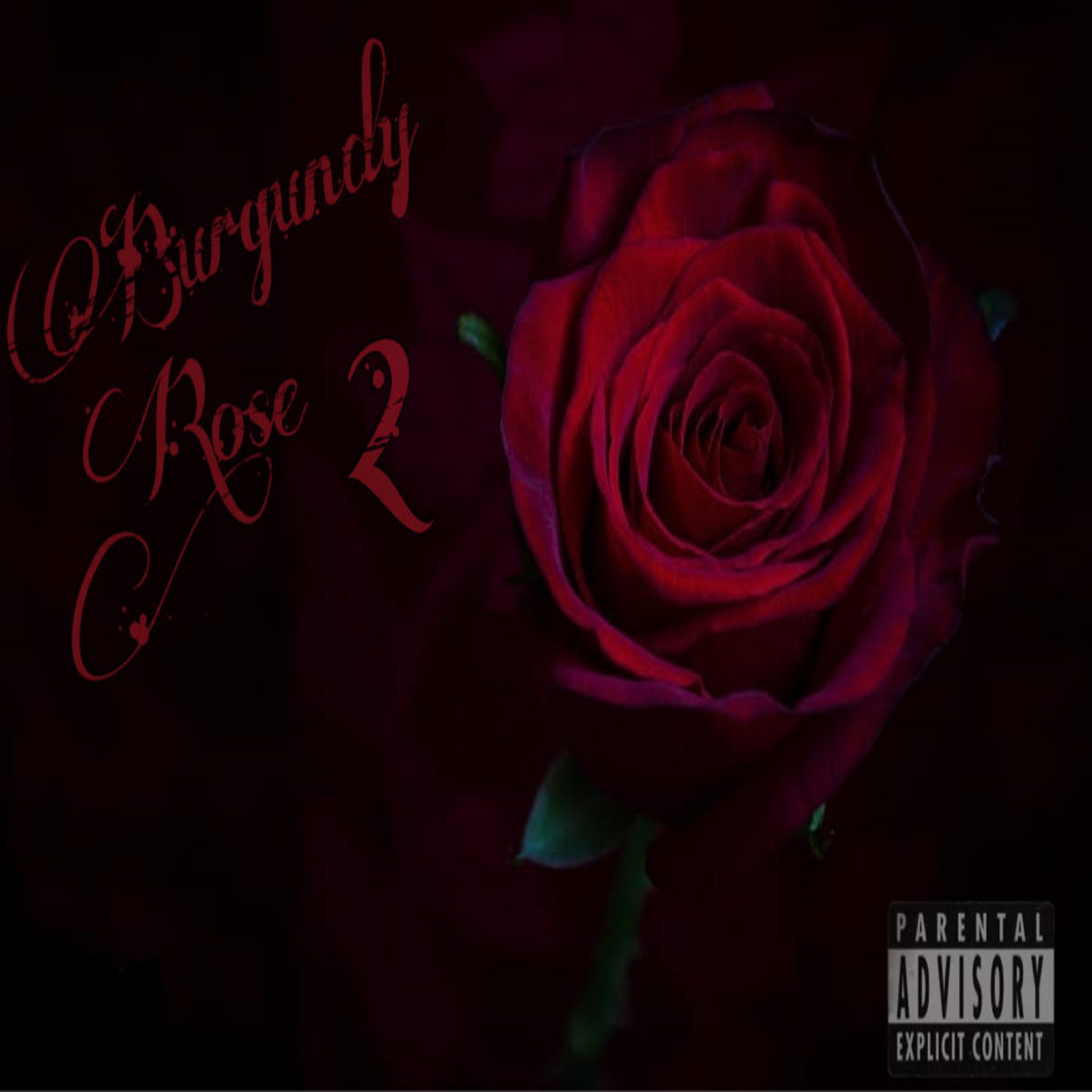 BurgundyRose2 artwork