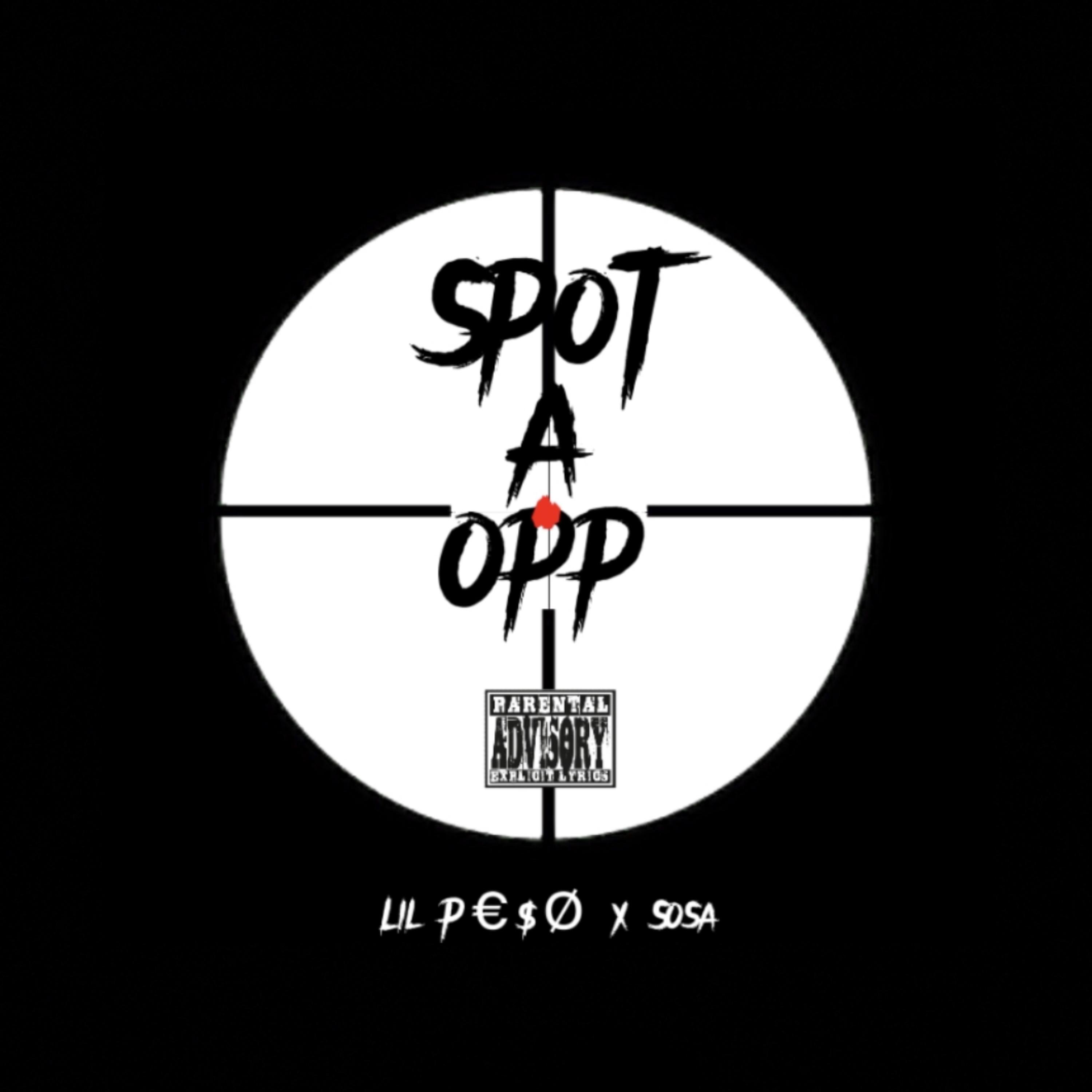 Spot A Opp artwork