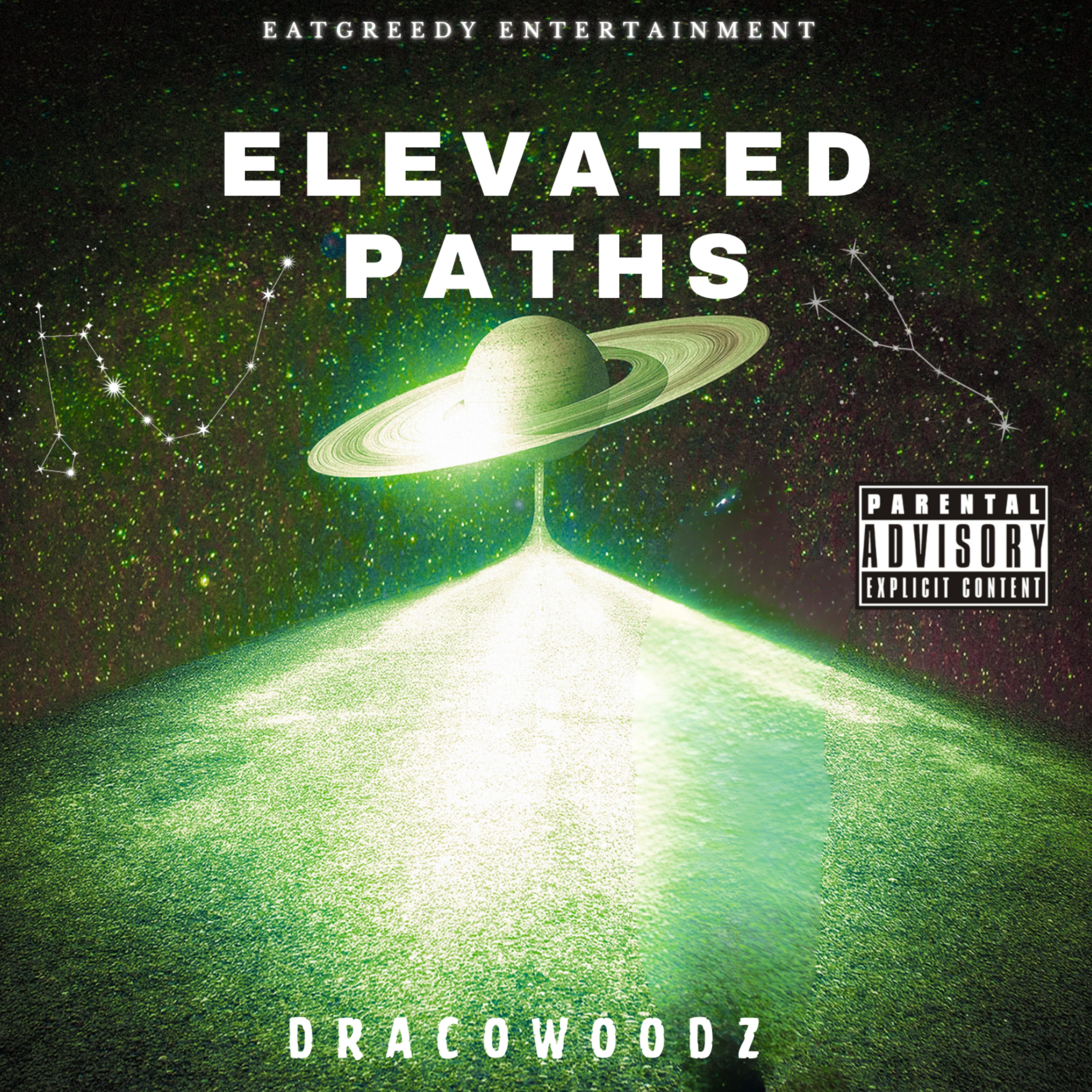Elevated Paths artwork