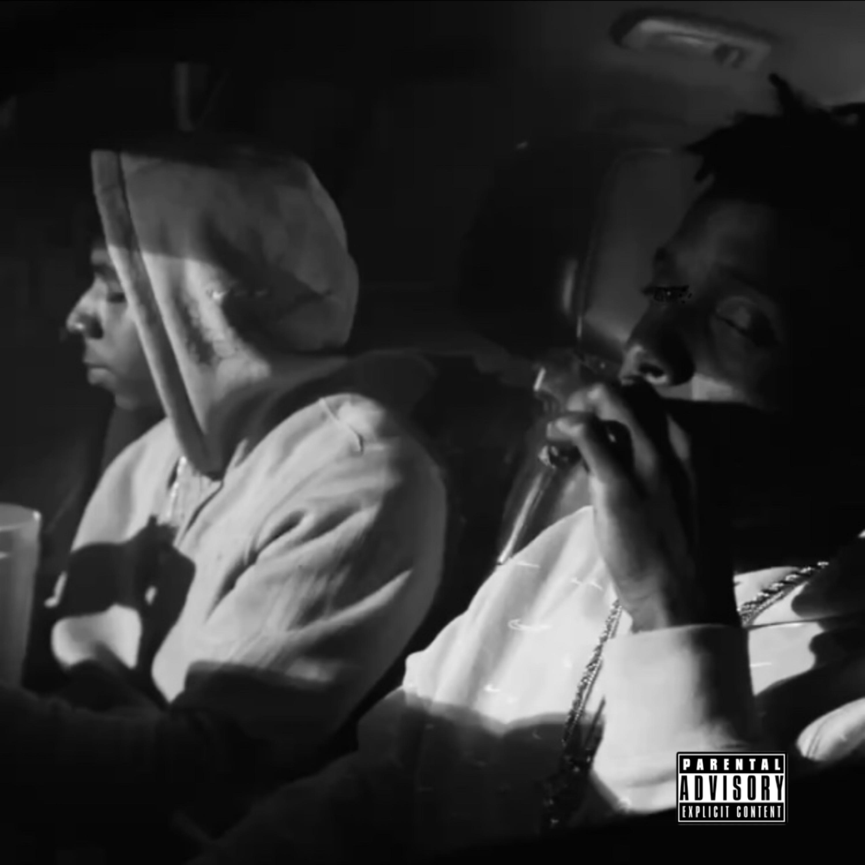Snippet artwork