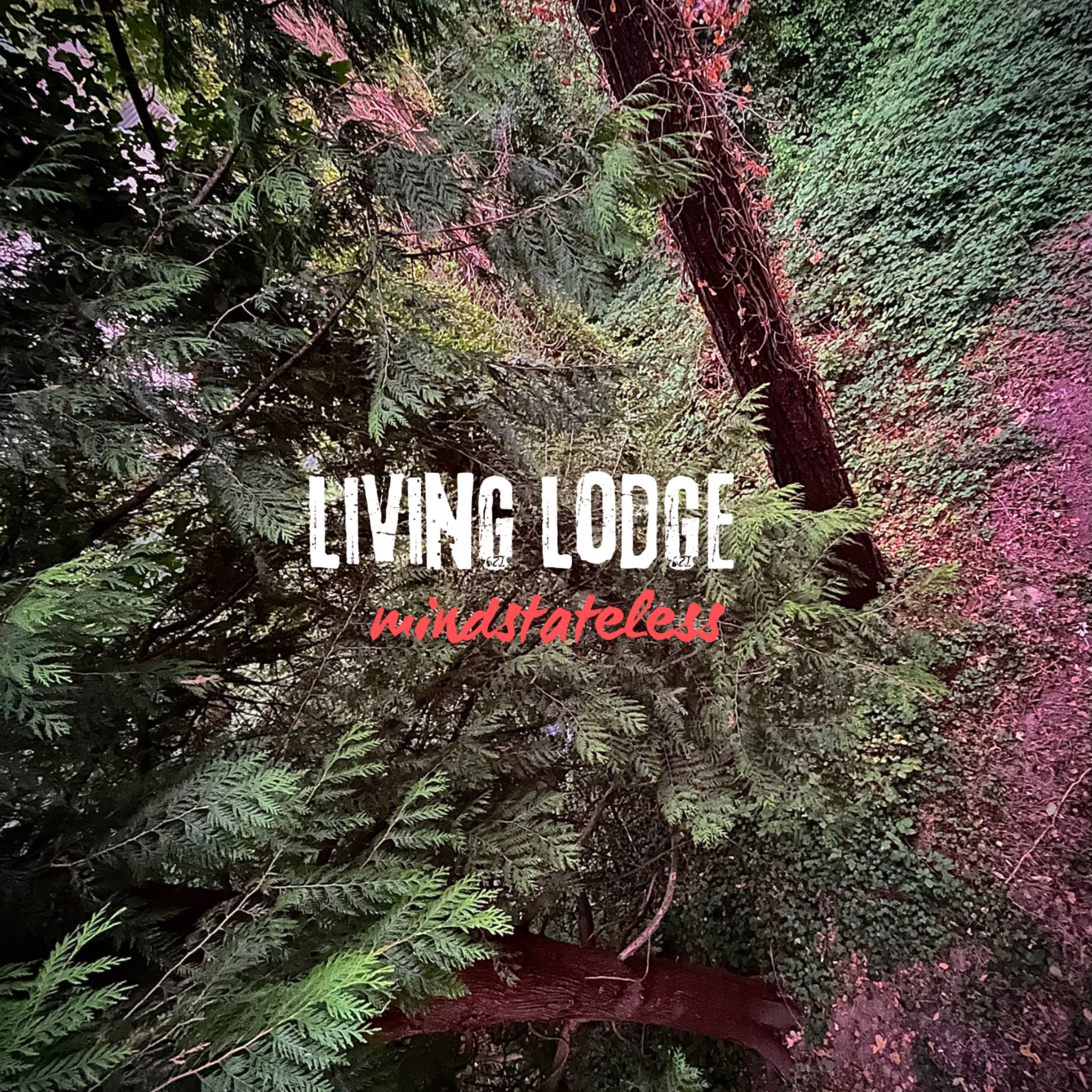 Living Lodge artwork