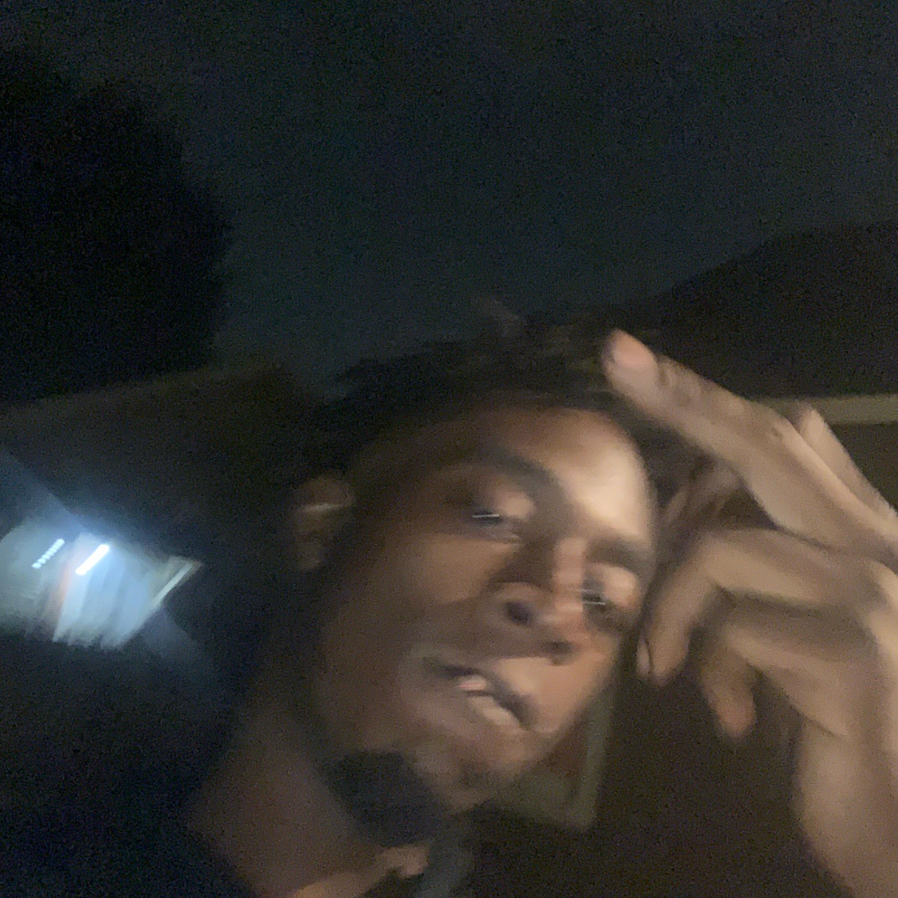 Backseat Pt2 by Wildlife Dee cover art