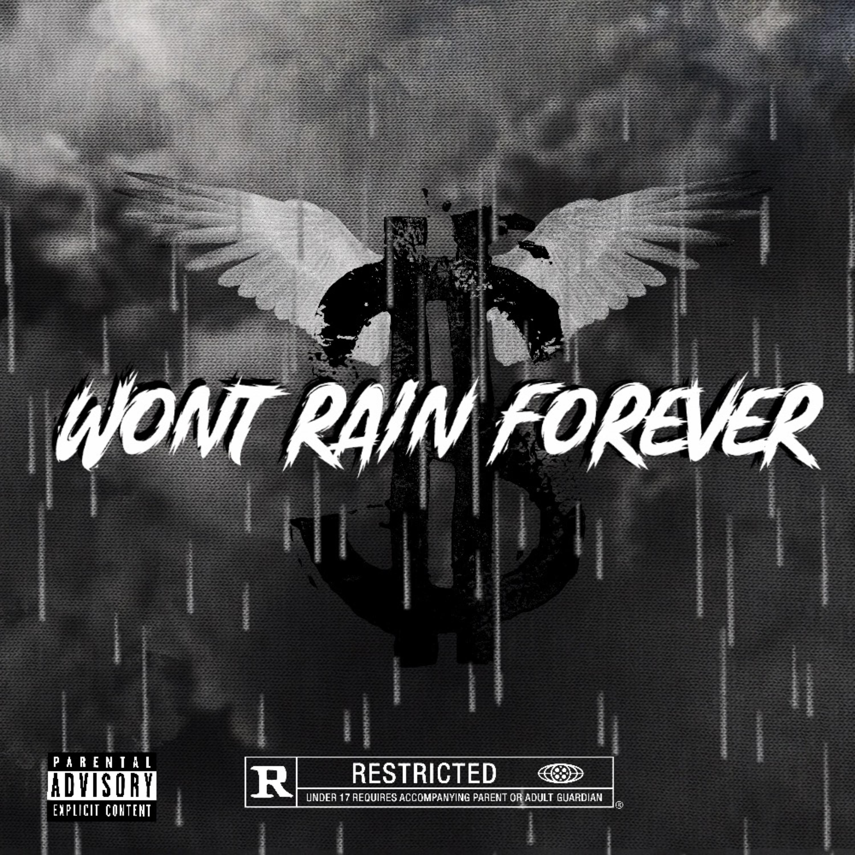 Wont Rain Forever artwork