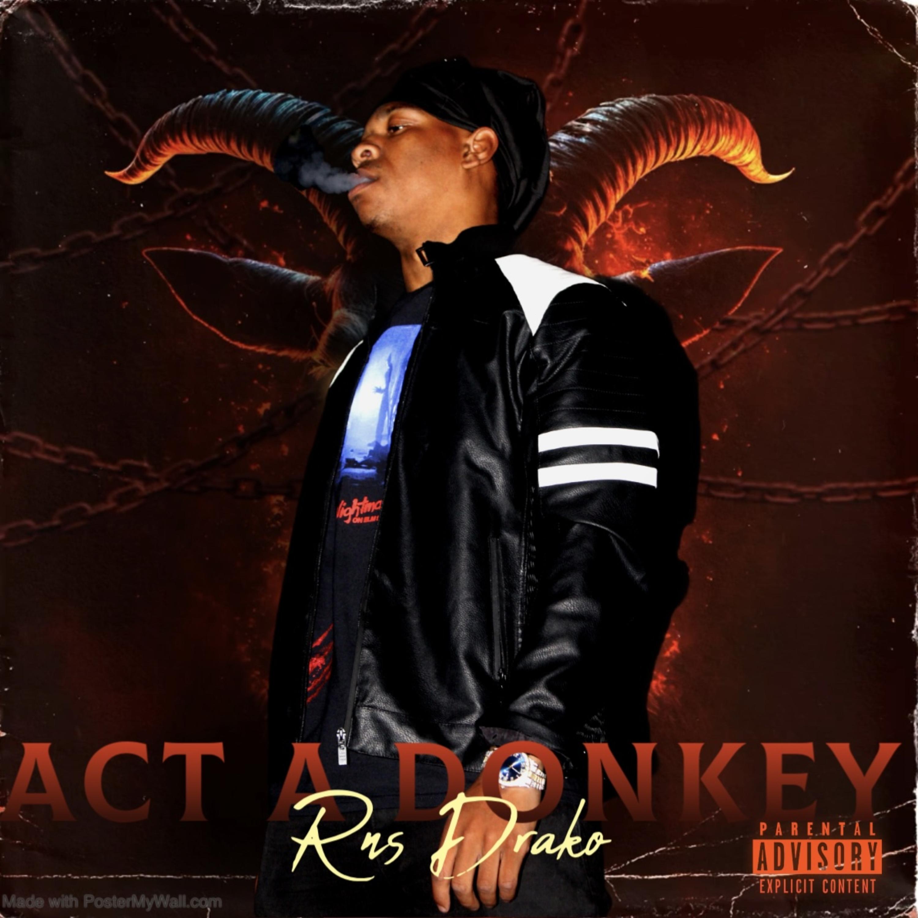 Act A Donkey artwork