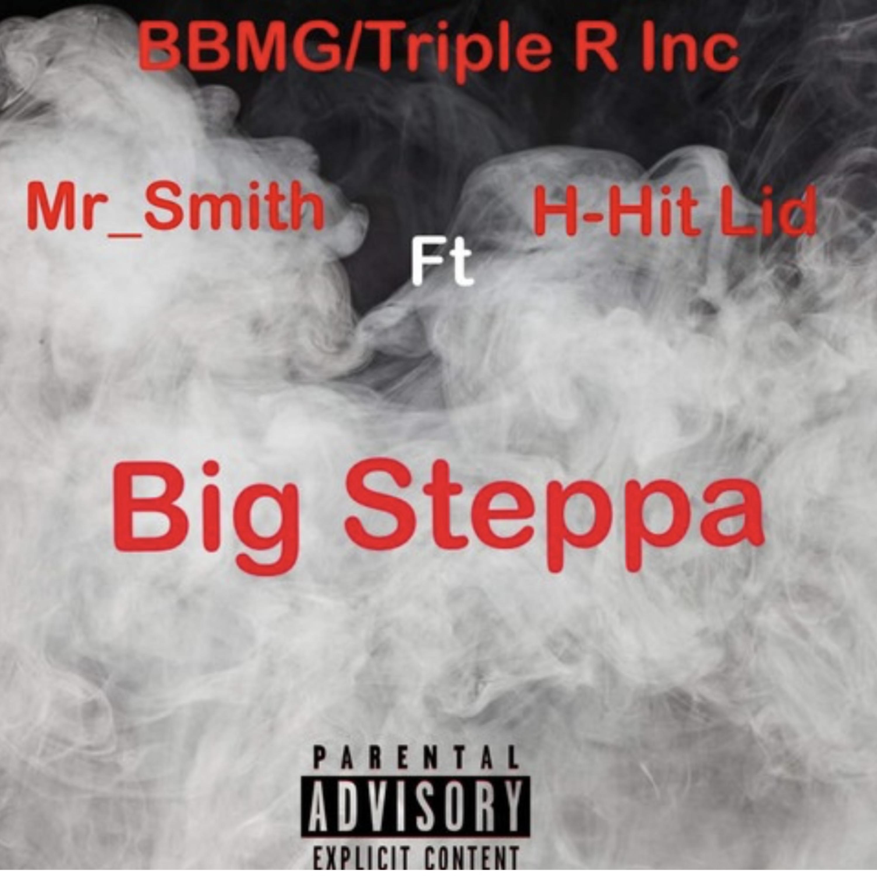 BIG STEPPA artwork