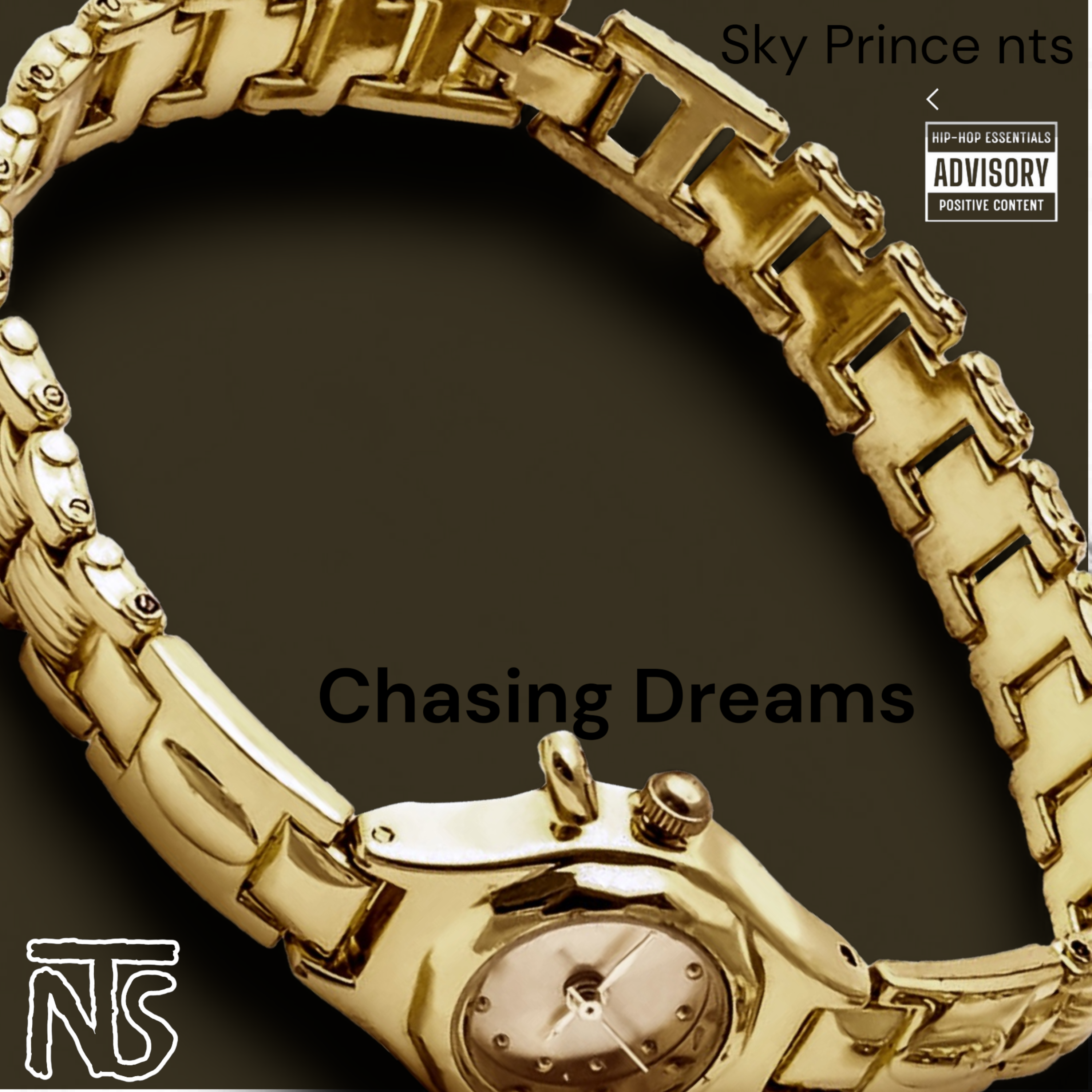 Chasing Dreams artwork