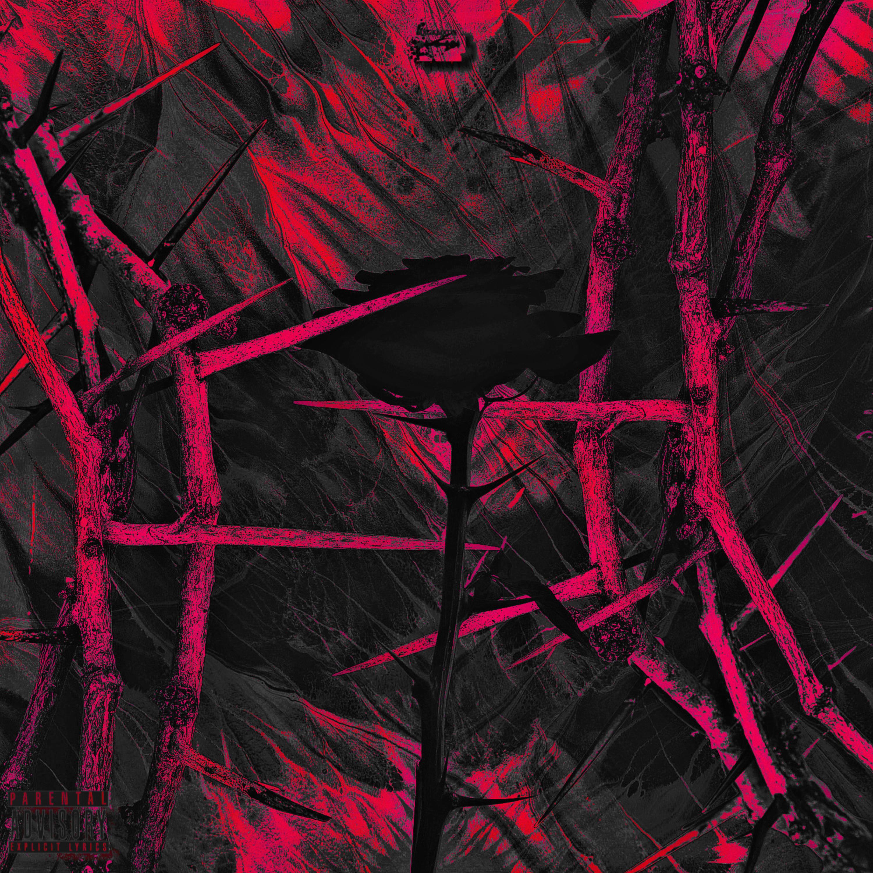 R3B0RN artwork