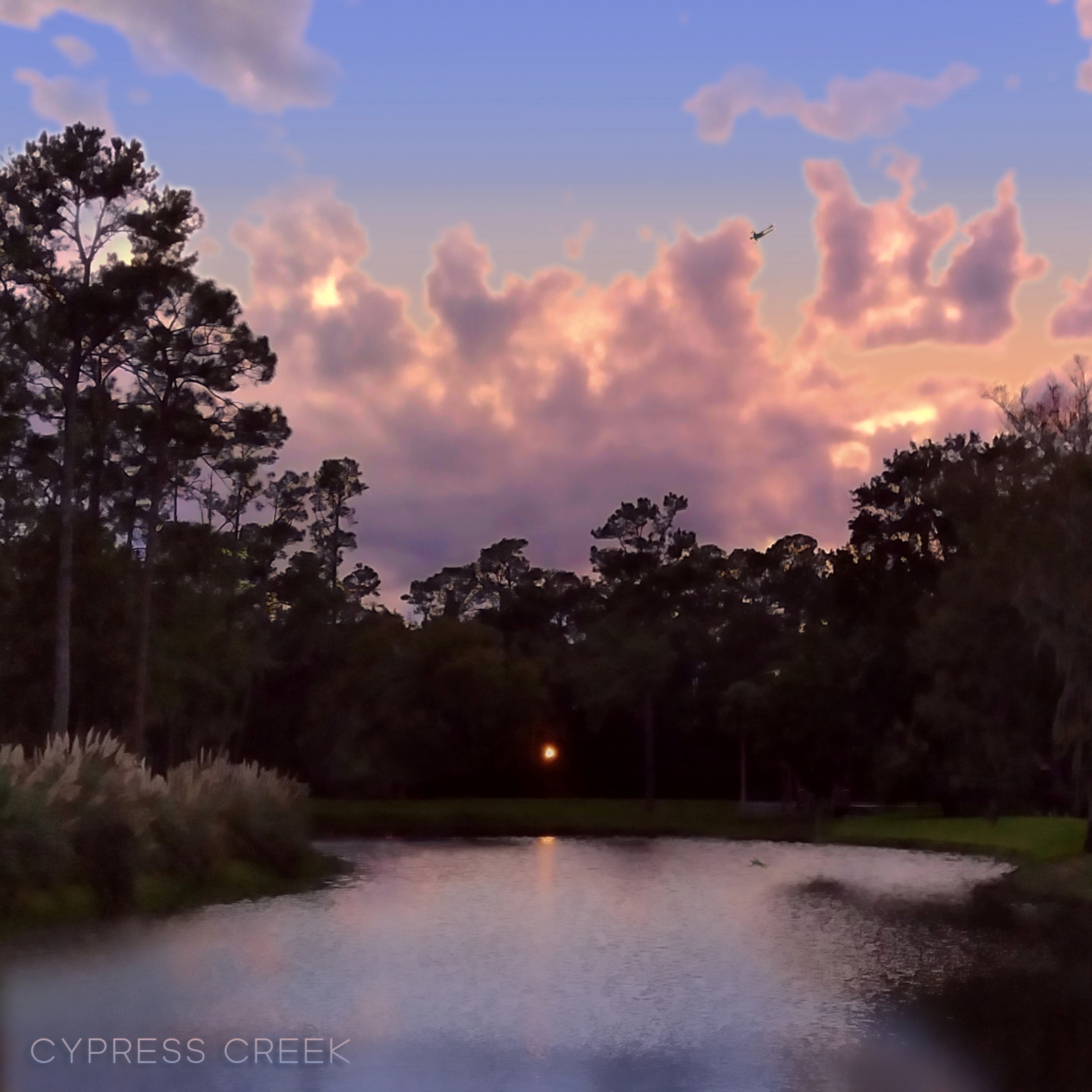 Cypress Creek artwork