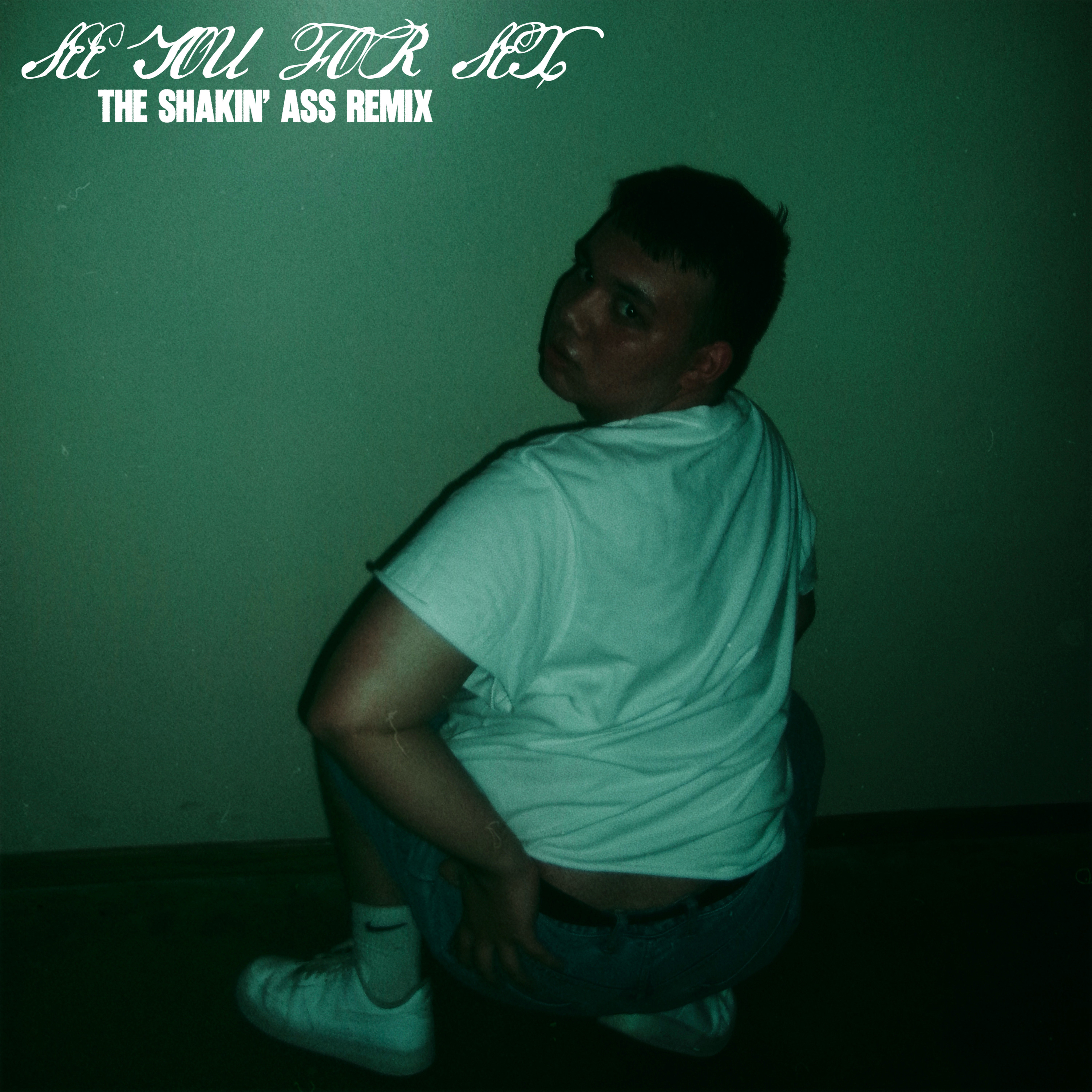 see you for sex (Shakin’ Ass Remix) artwork