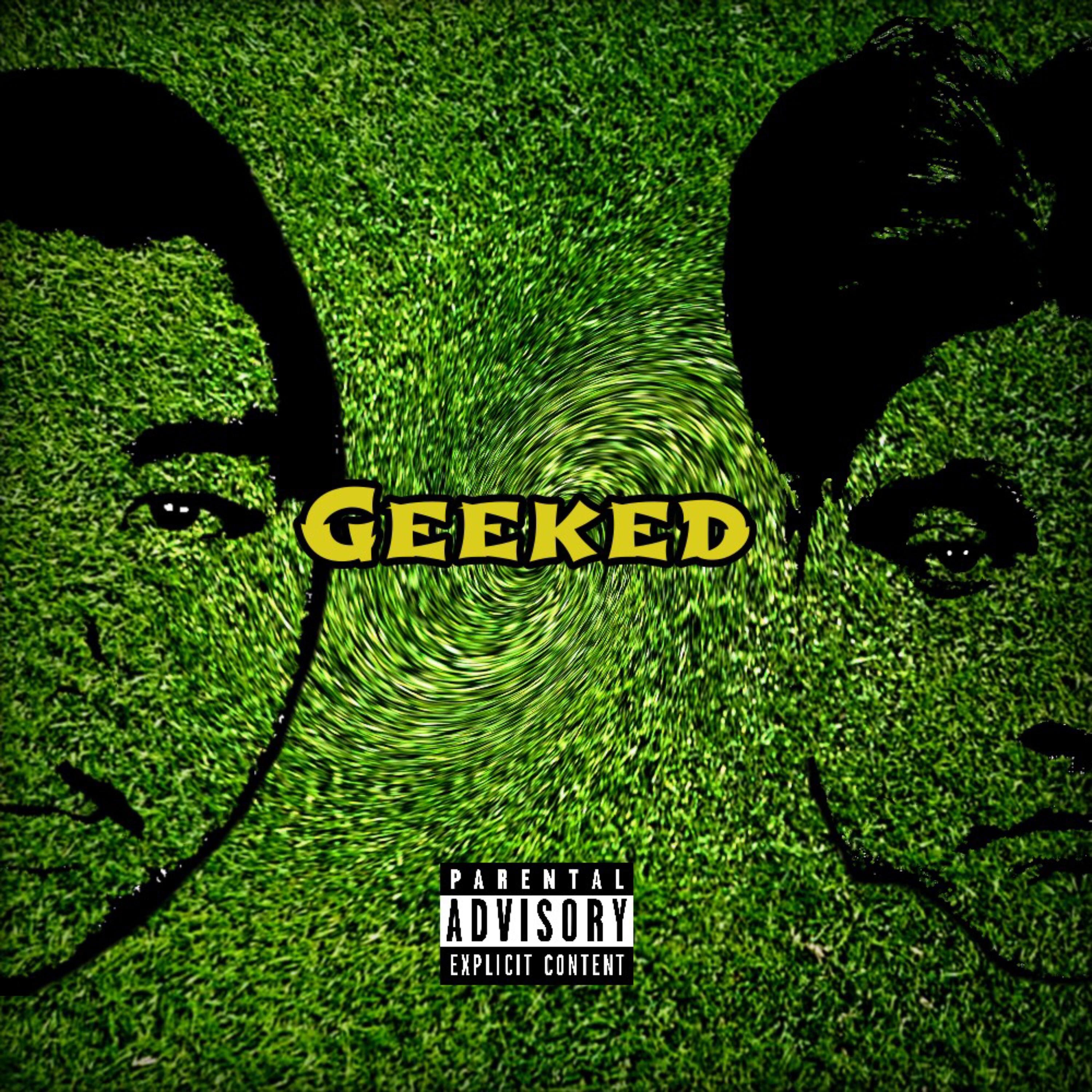 Geeked artwork