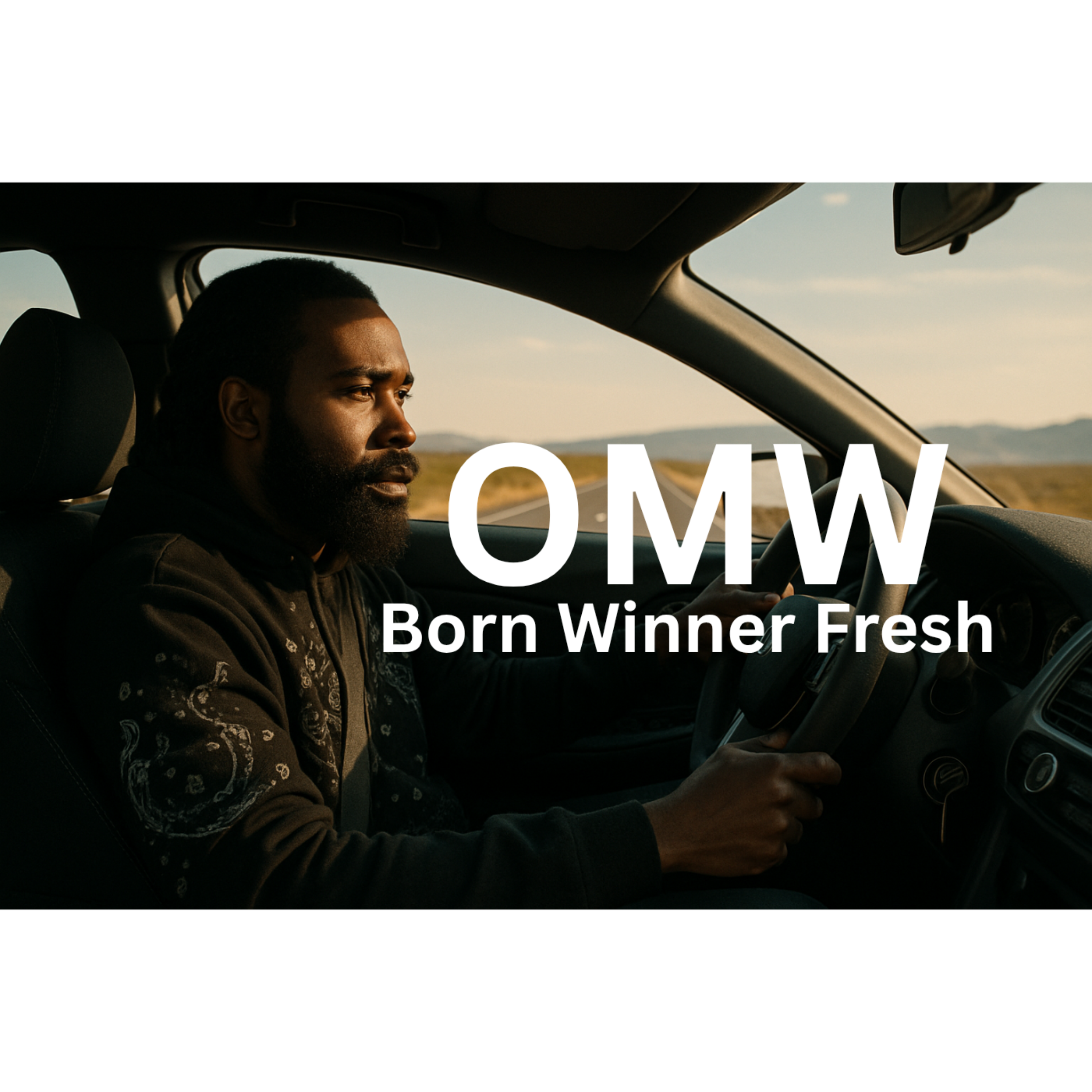 OMW artwork