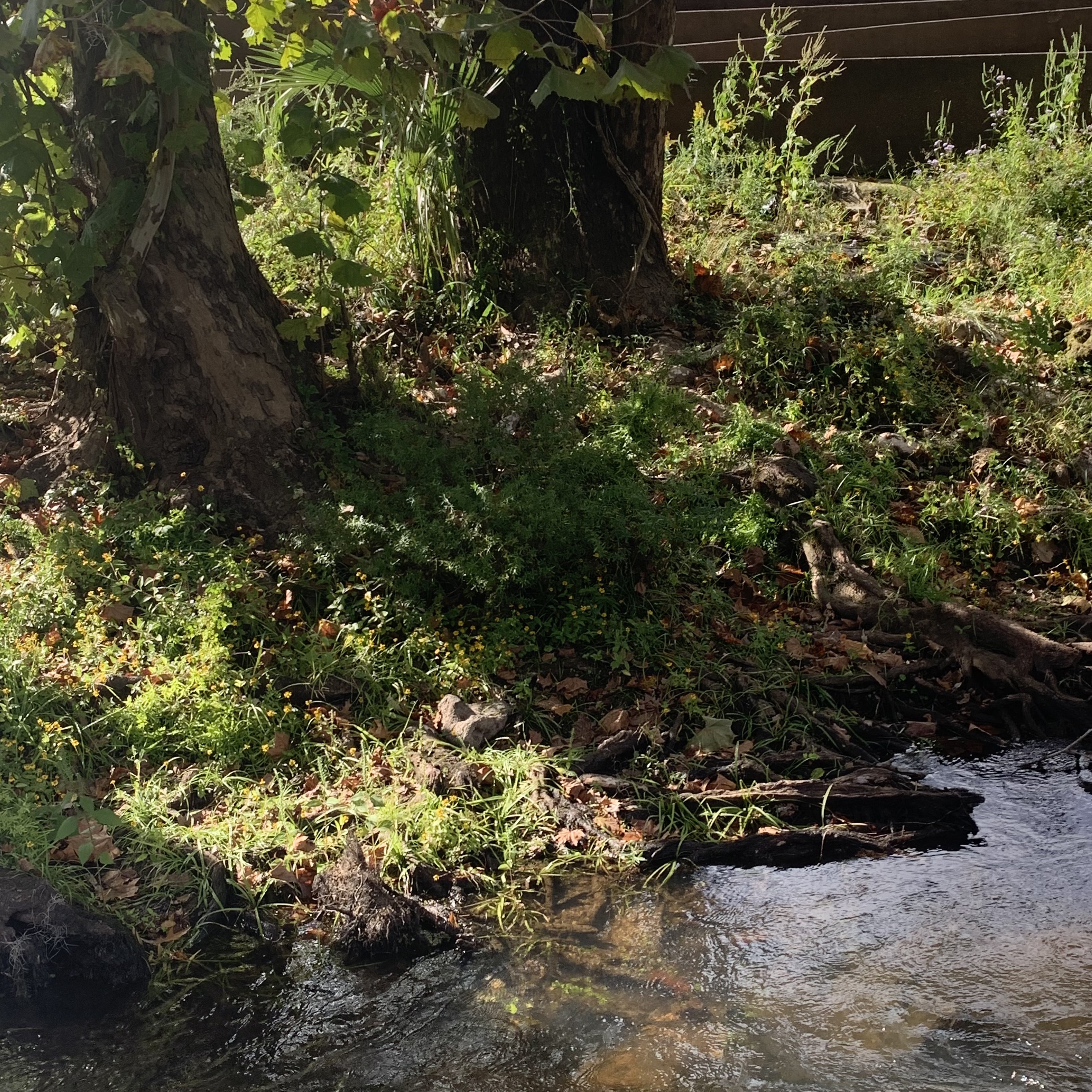 fragment 002 artwork