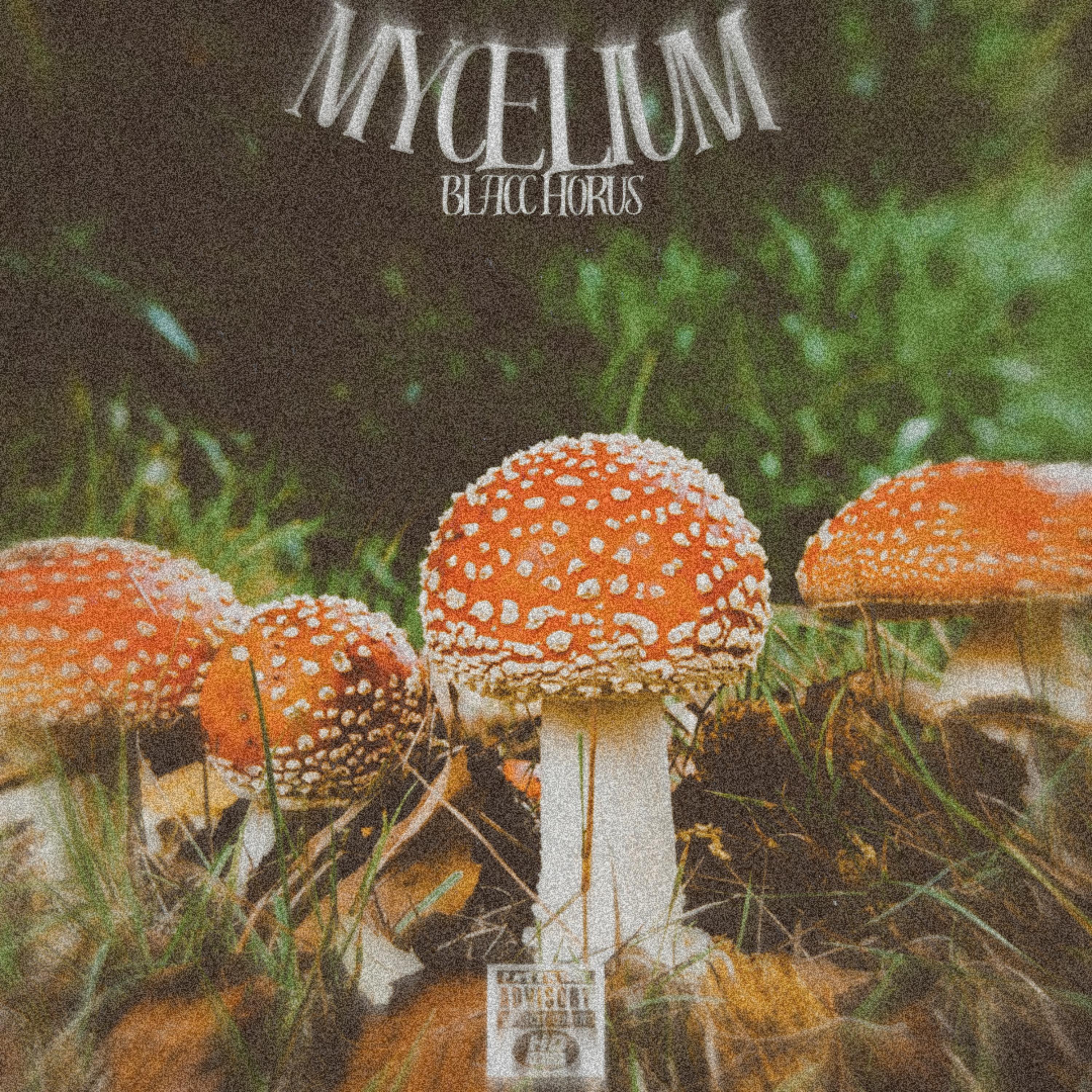 Mycelium artwork