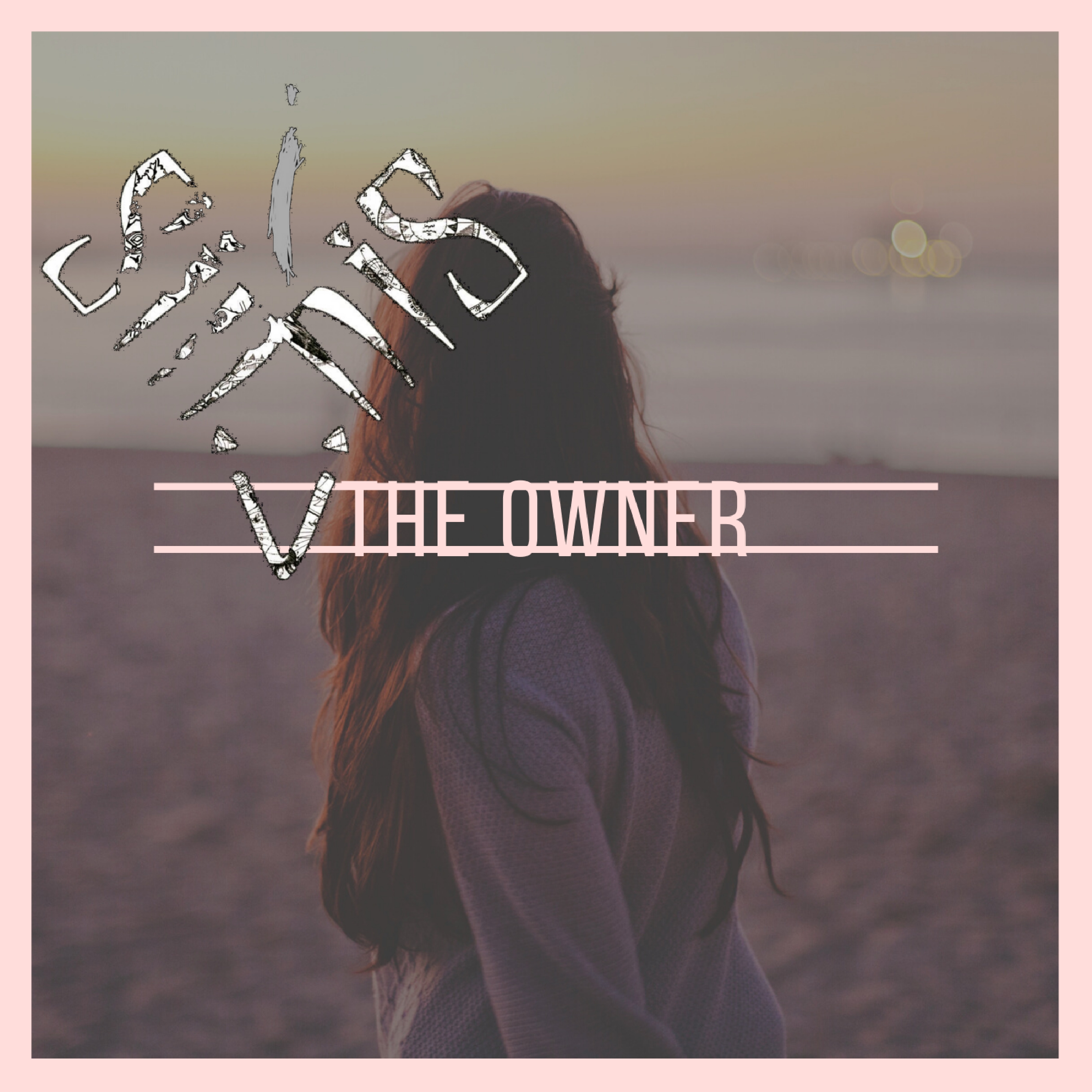The Owner artwork