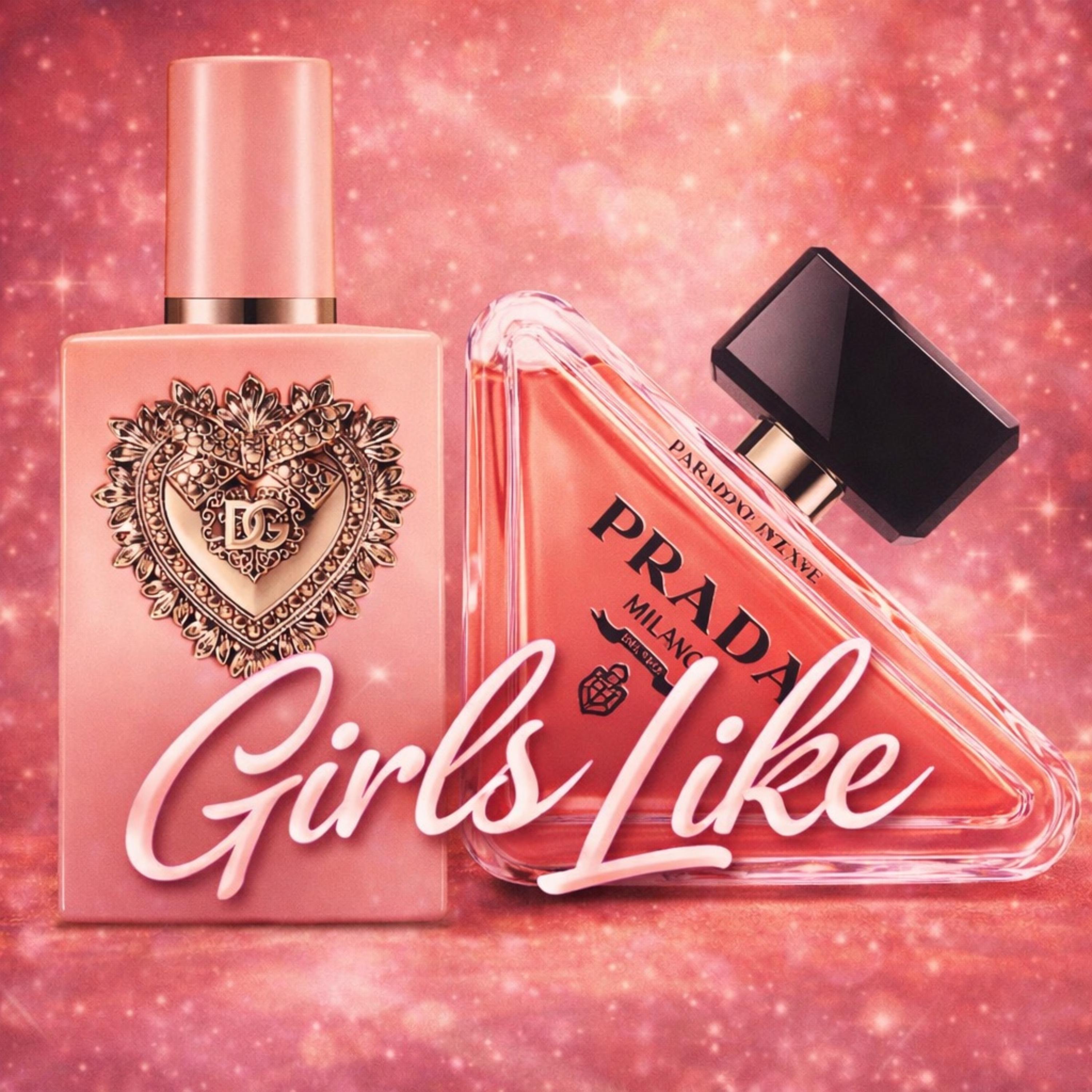 girls Like by Danger savage cover art