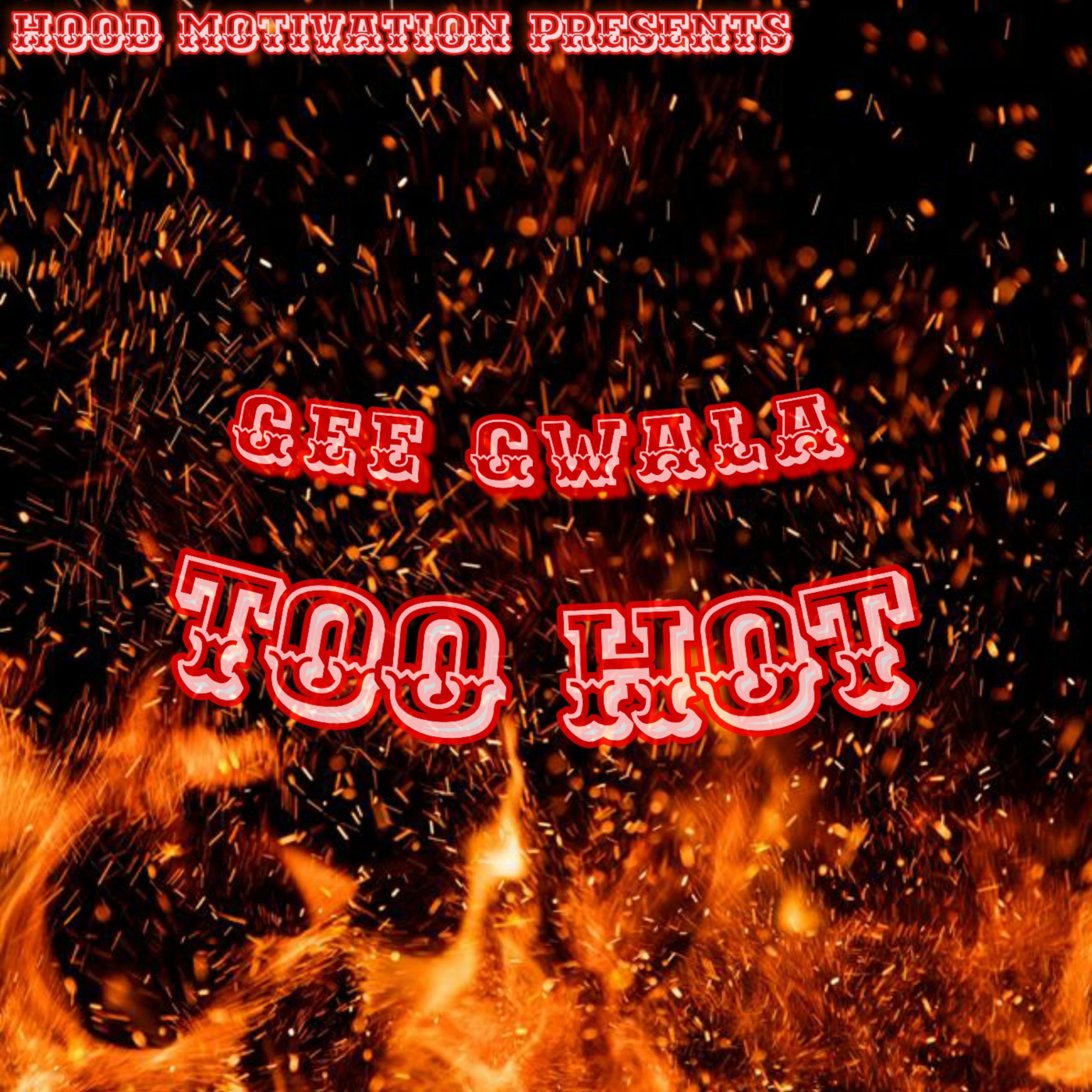 Too Hot  by Gee Gwala cover art