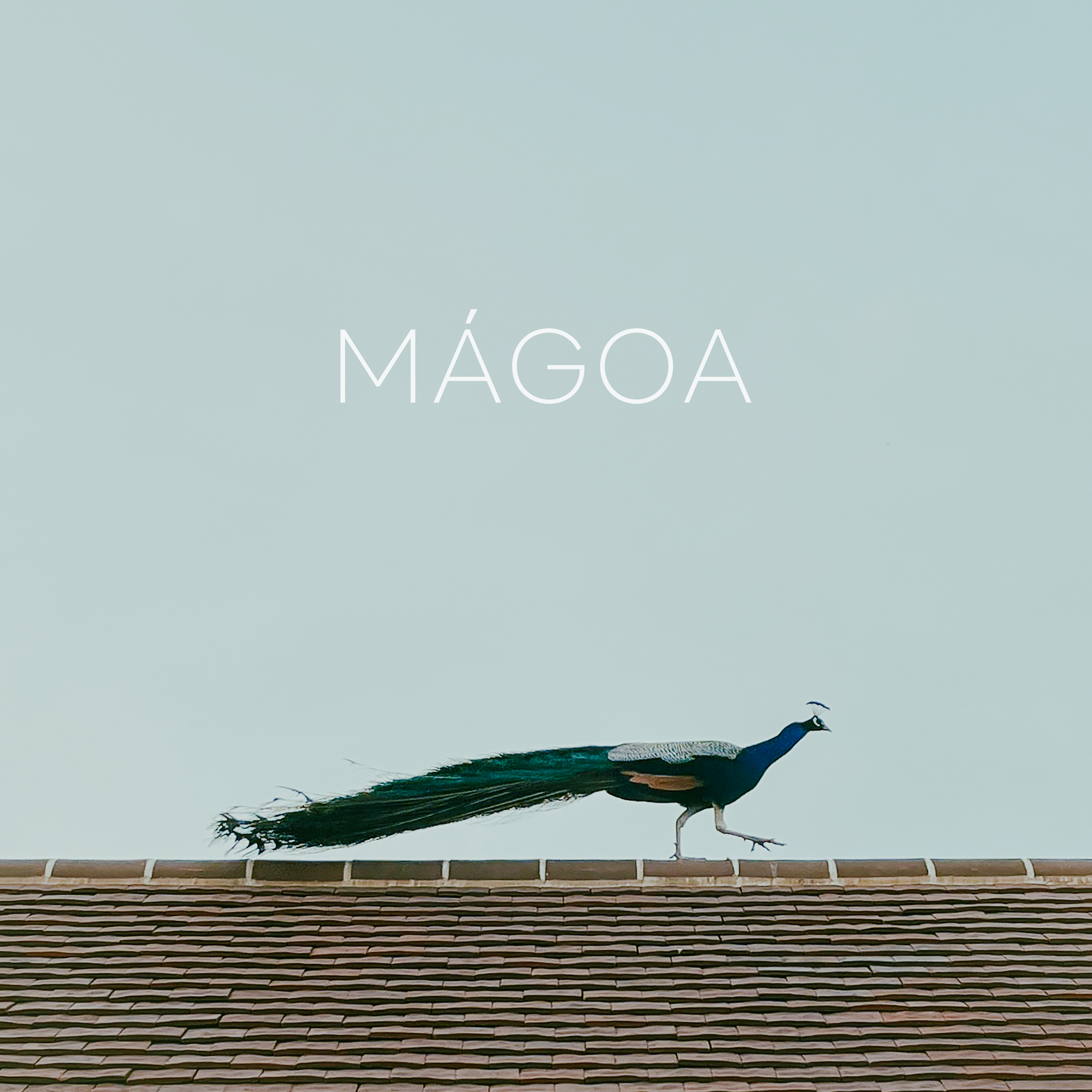 Magoa artwork