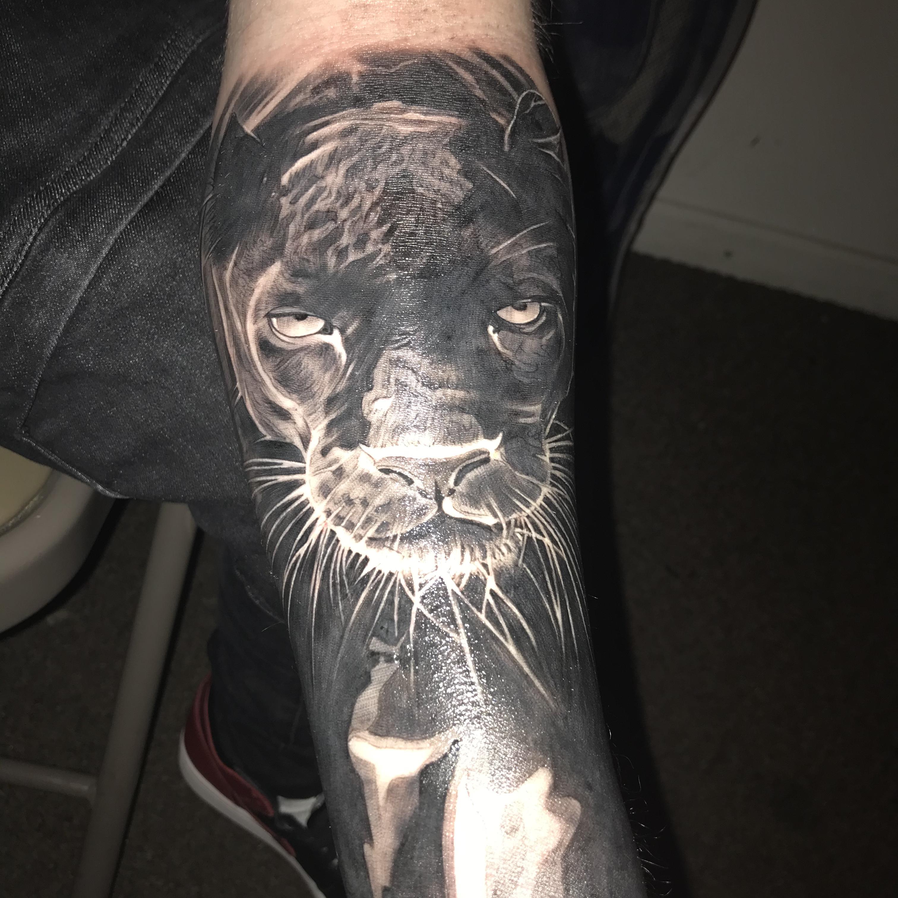 MY COMEBACK STORY artwork