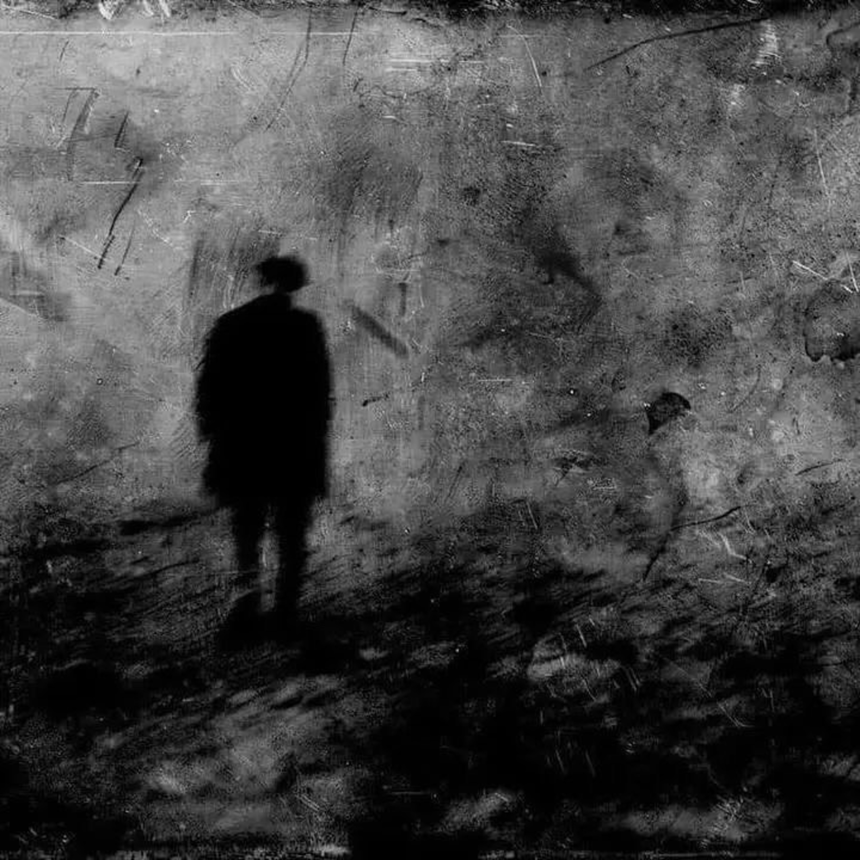 Reclusive by xkobran cover art