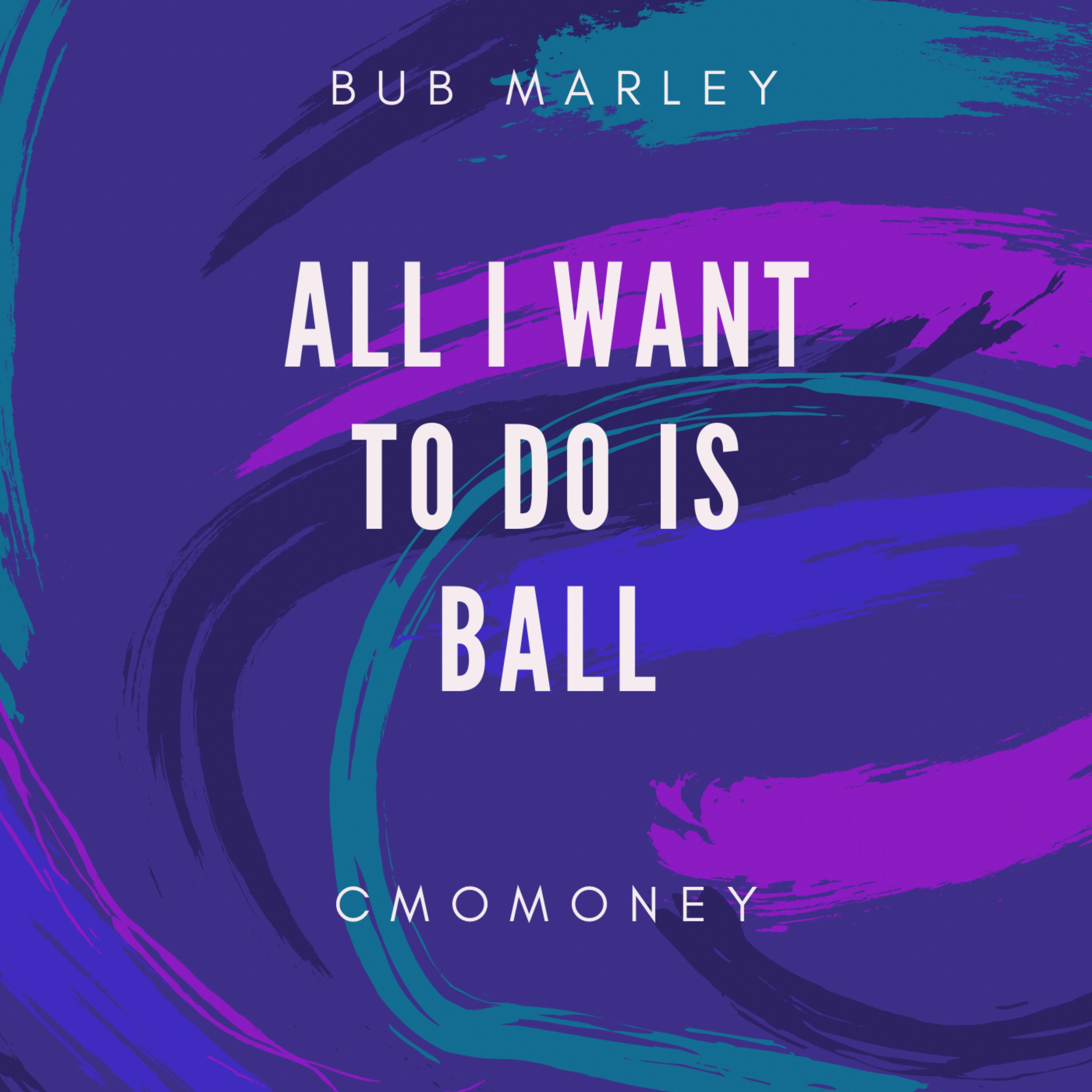All I Want To Do Is Ball artwork