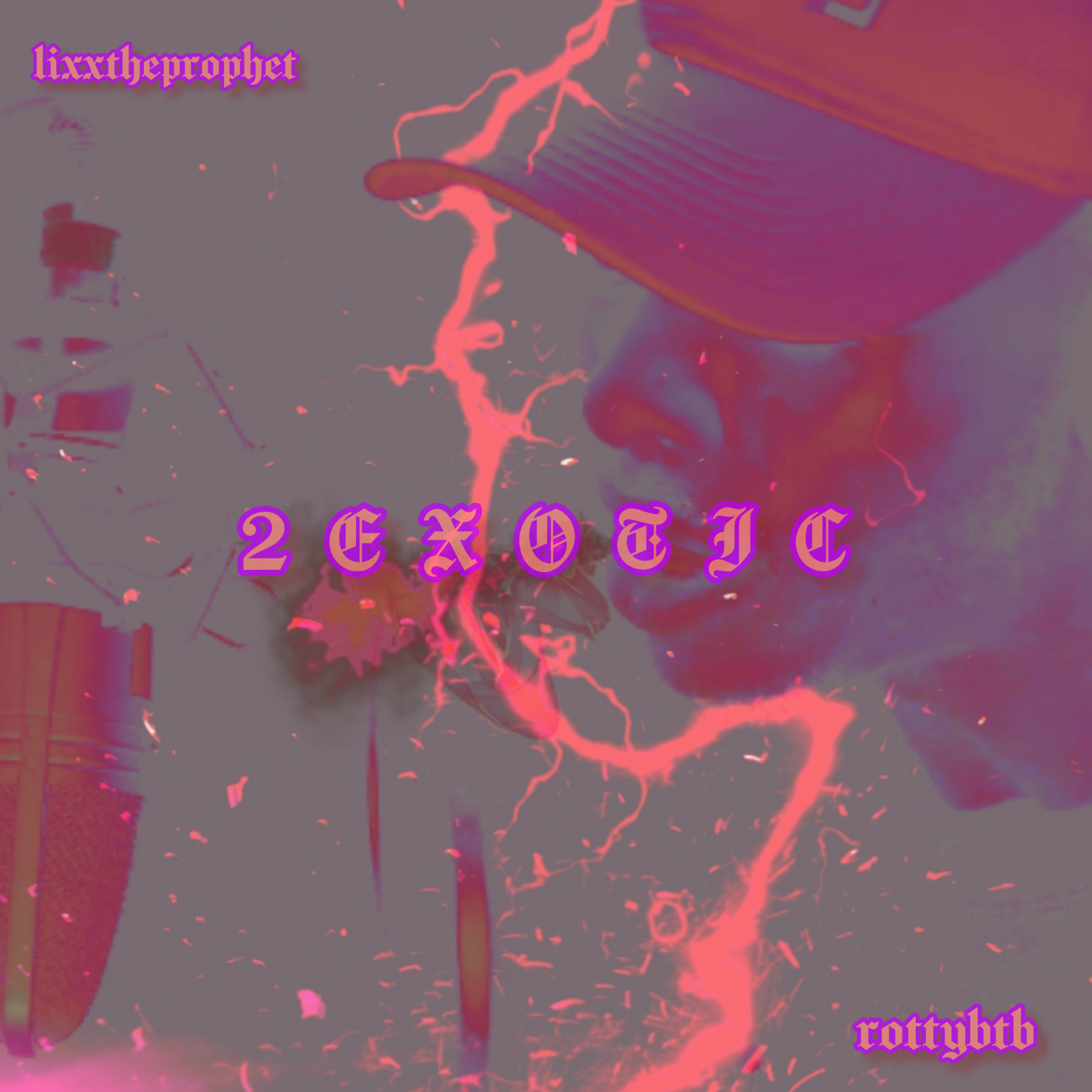 2EXOTIC artwork