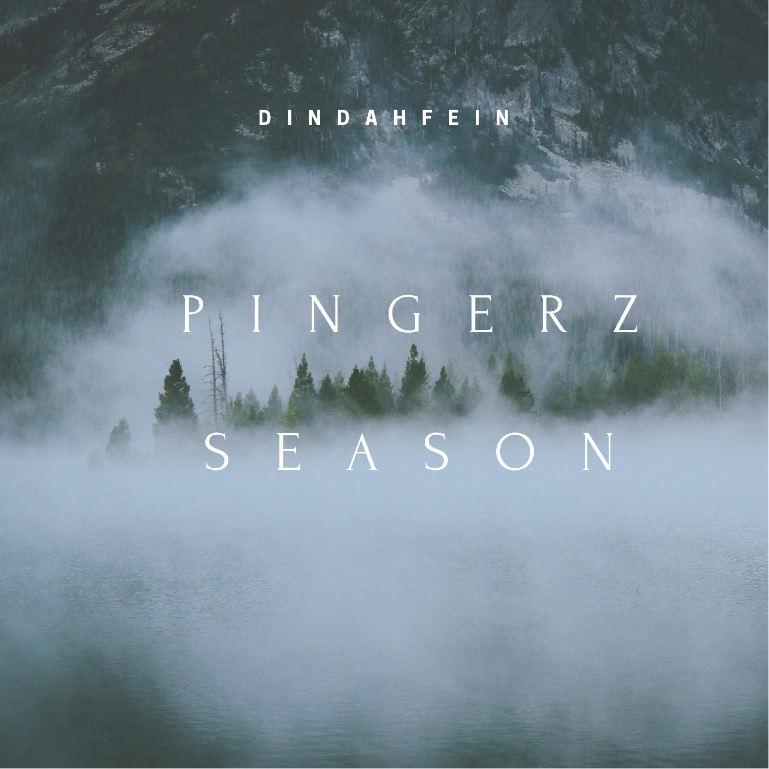 Pingerz Only artwork
