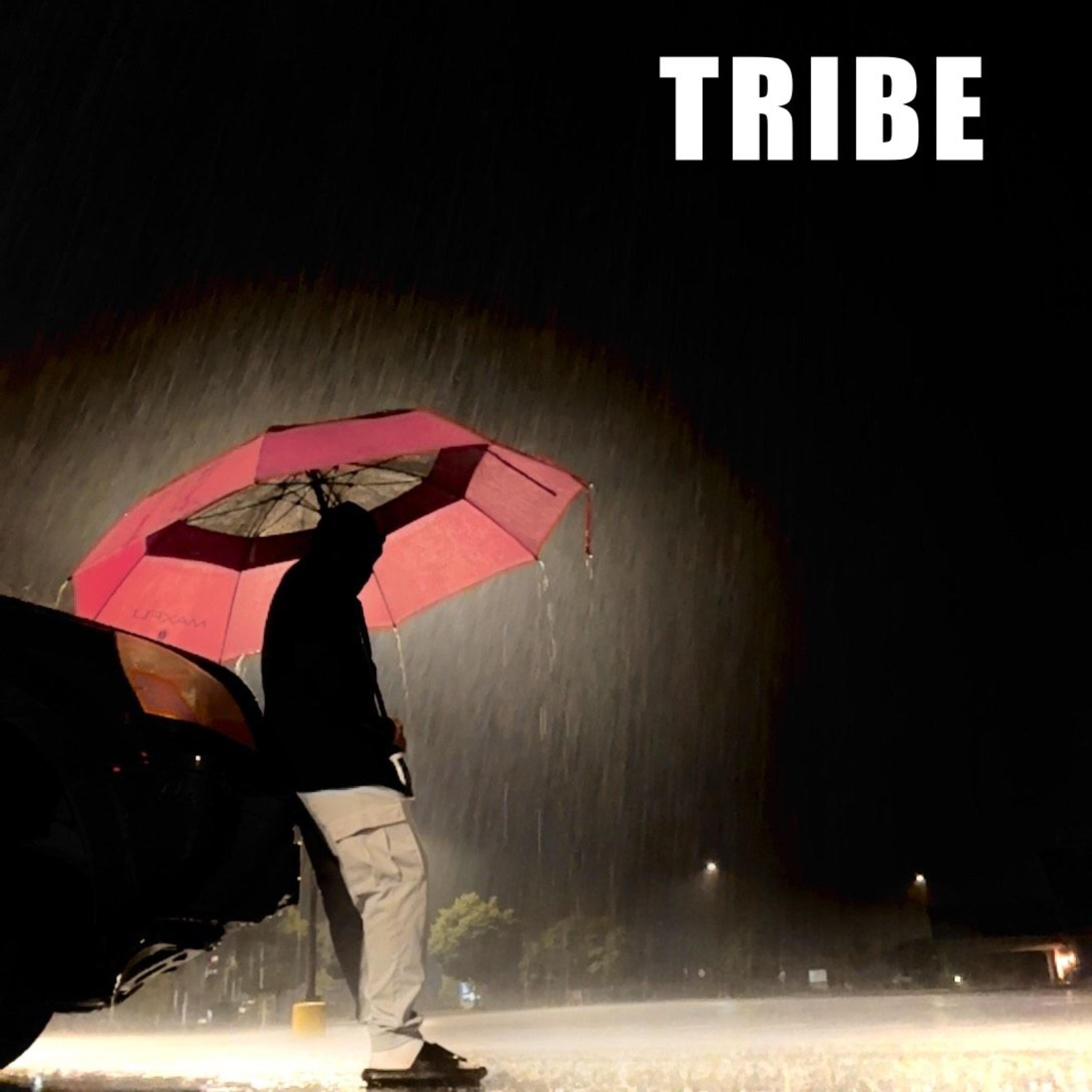 TRIBE artwork