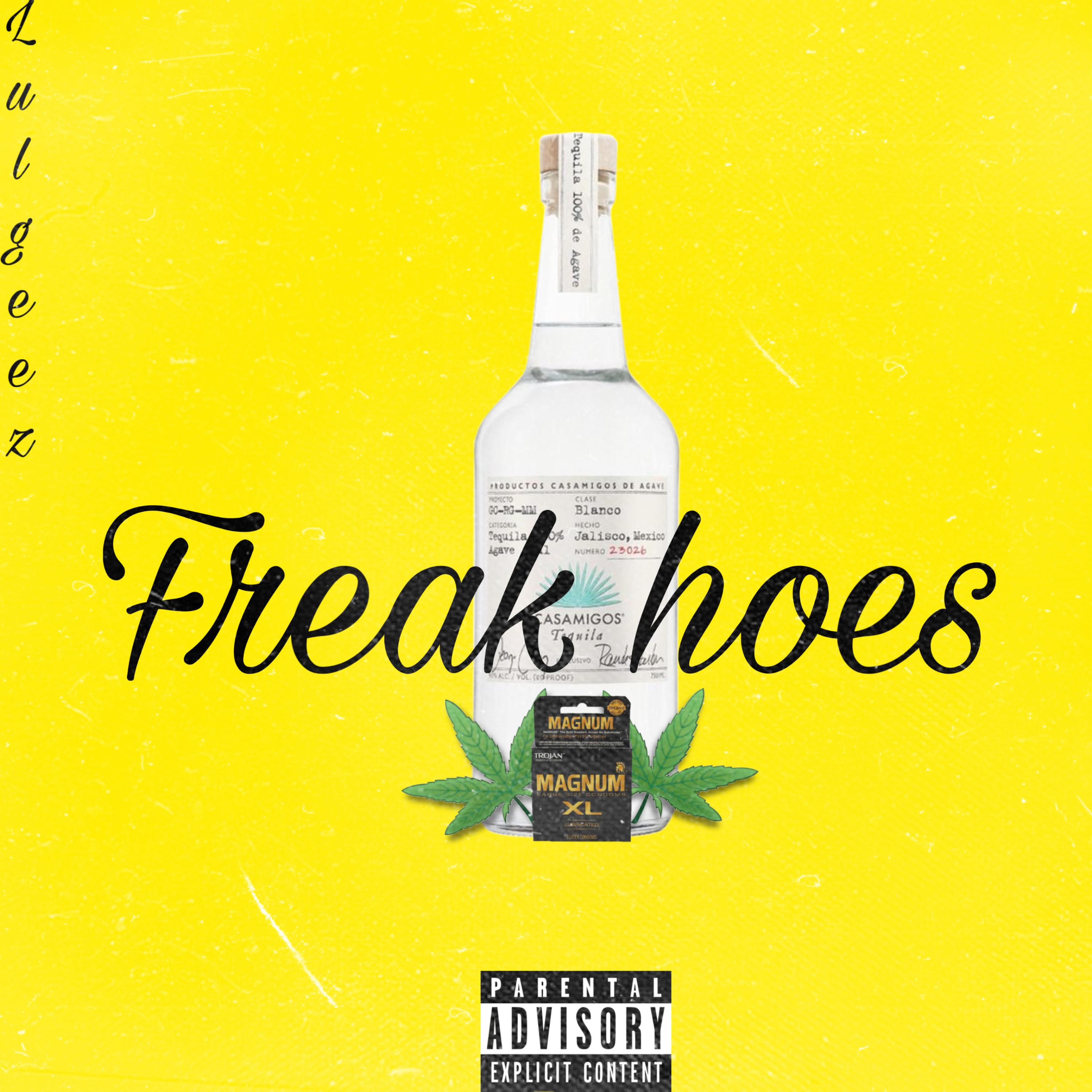 Freak Hoes artwork
