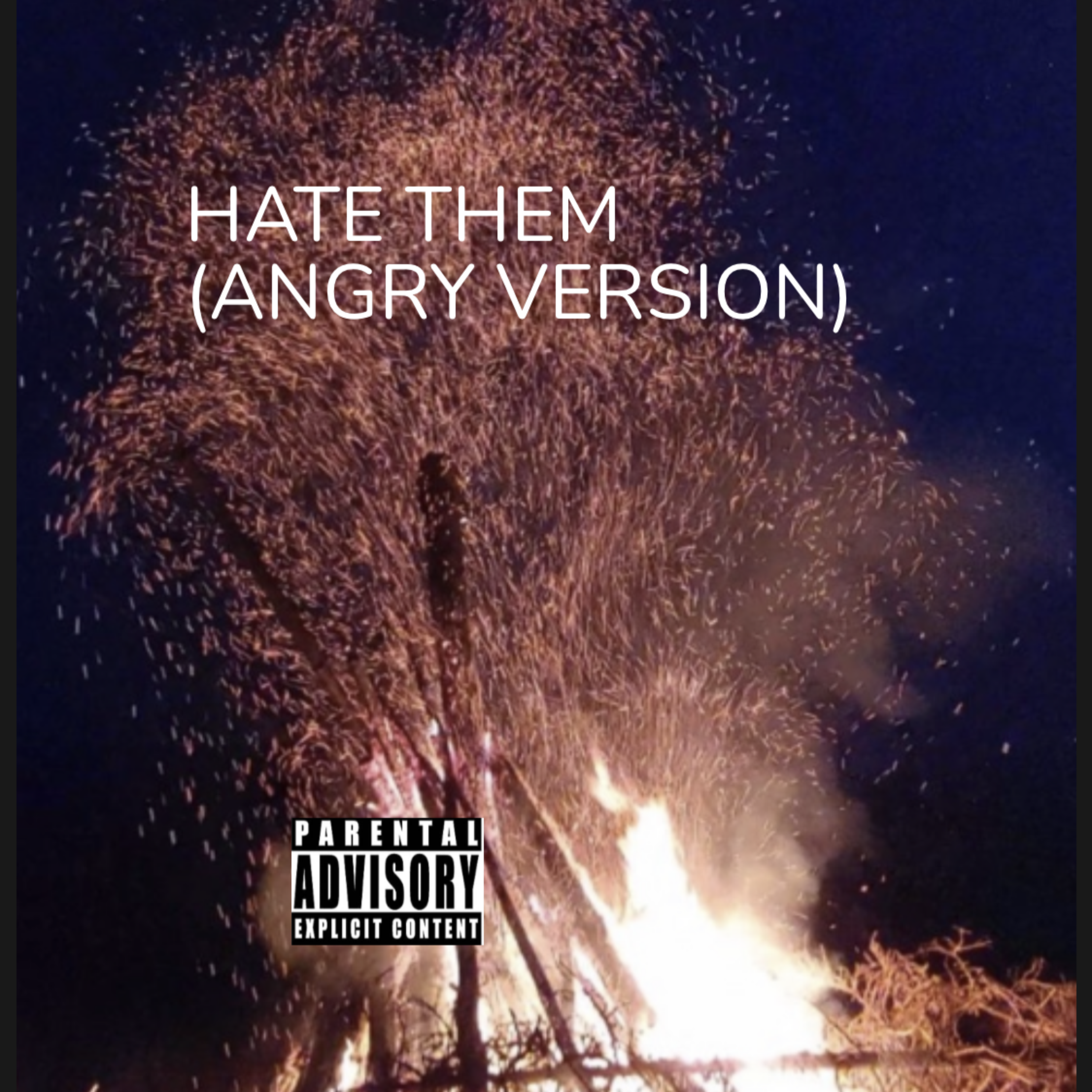 HATE THEM (ANGRY VERSION) artwork