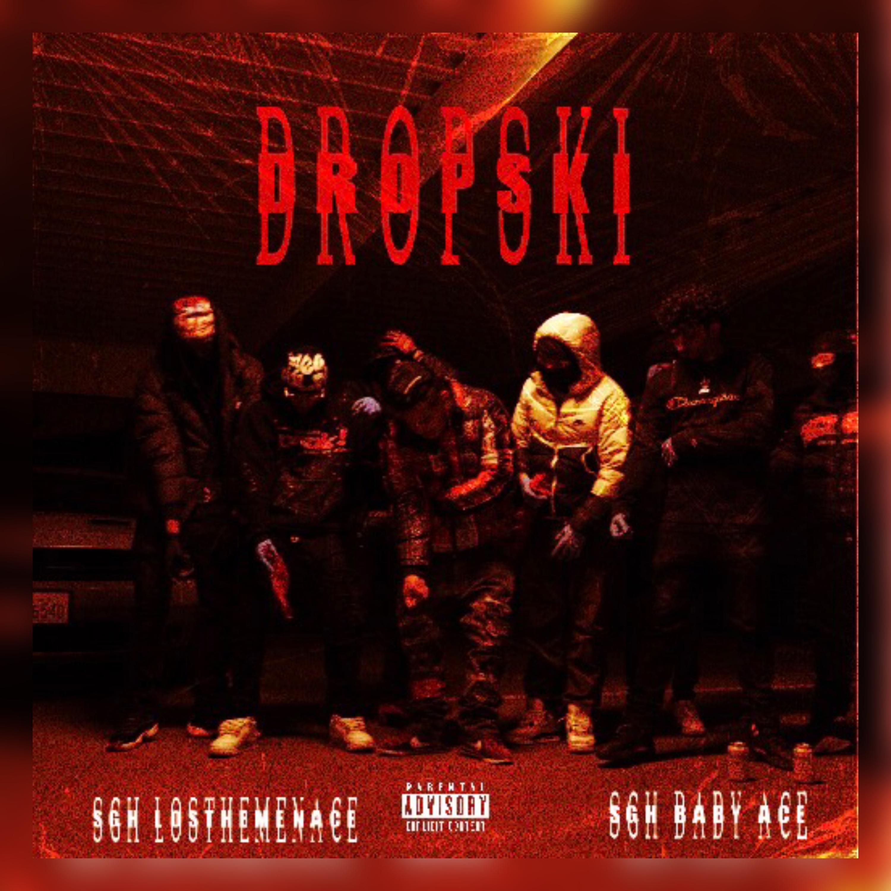 DropSki artwork