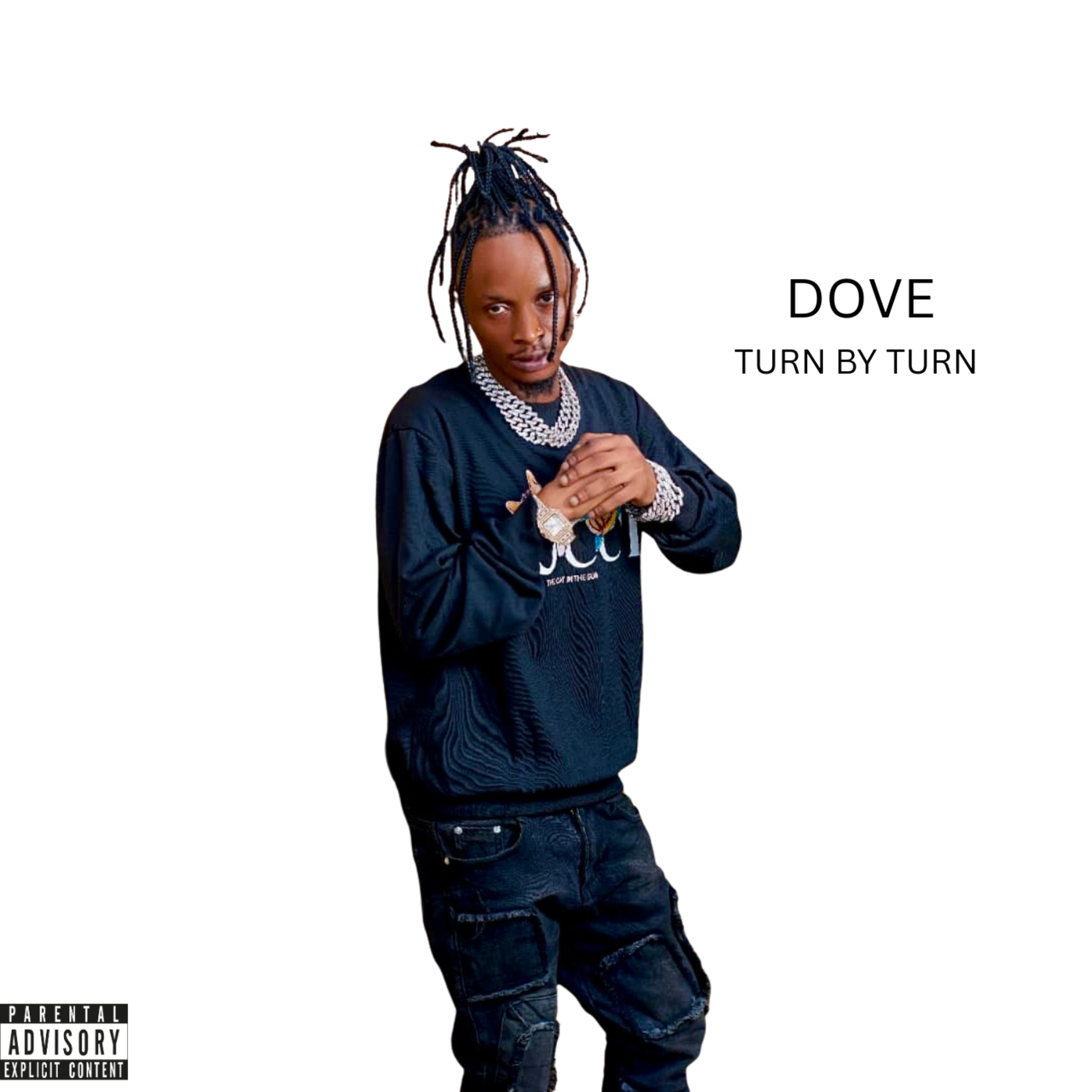 Turn By Turn by Dove cover art