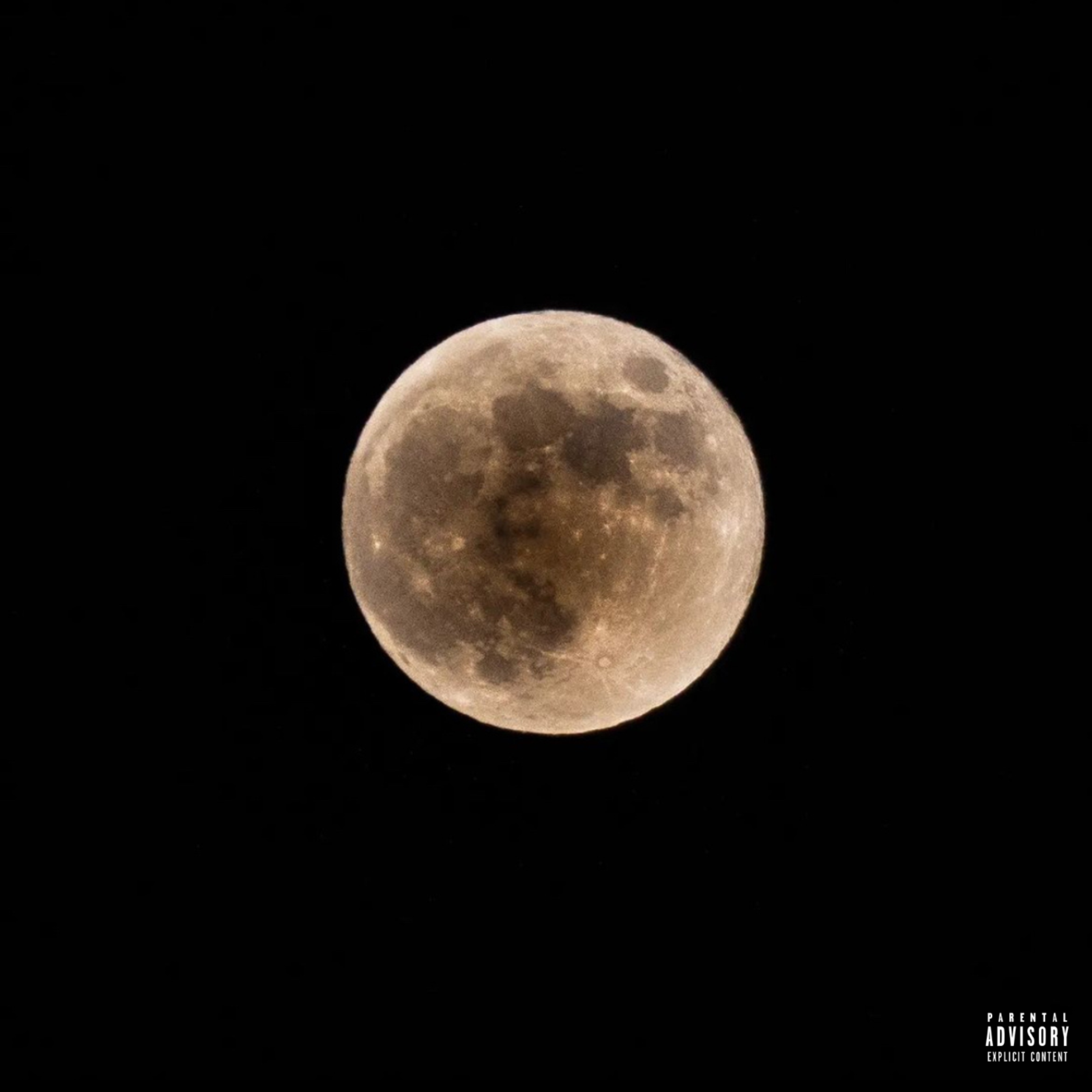 Please Stay (The Collection) artwork