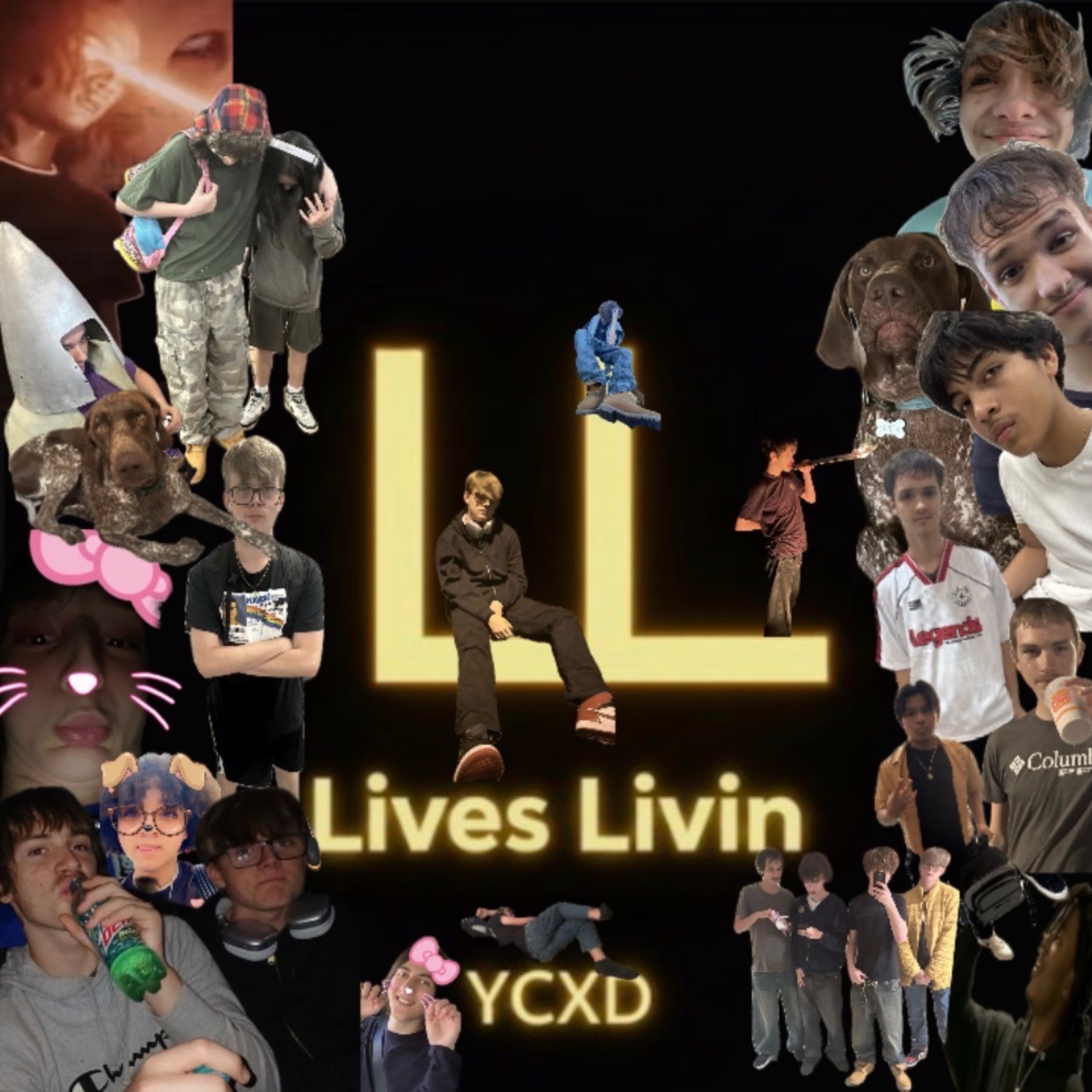 Lives Livin artwork